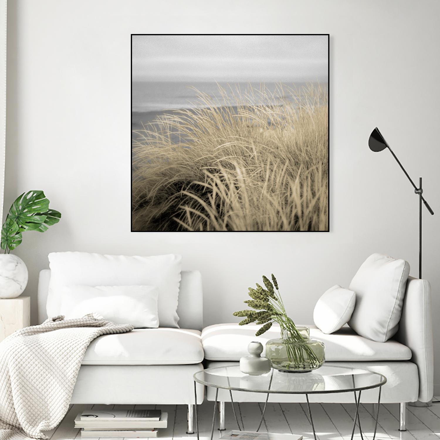 Tuscan Dunes #2A by Alan Blaustein on GIANT ART - multicolor photography; landscapes; coastal