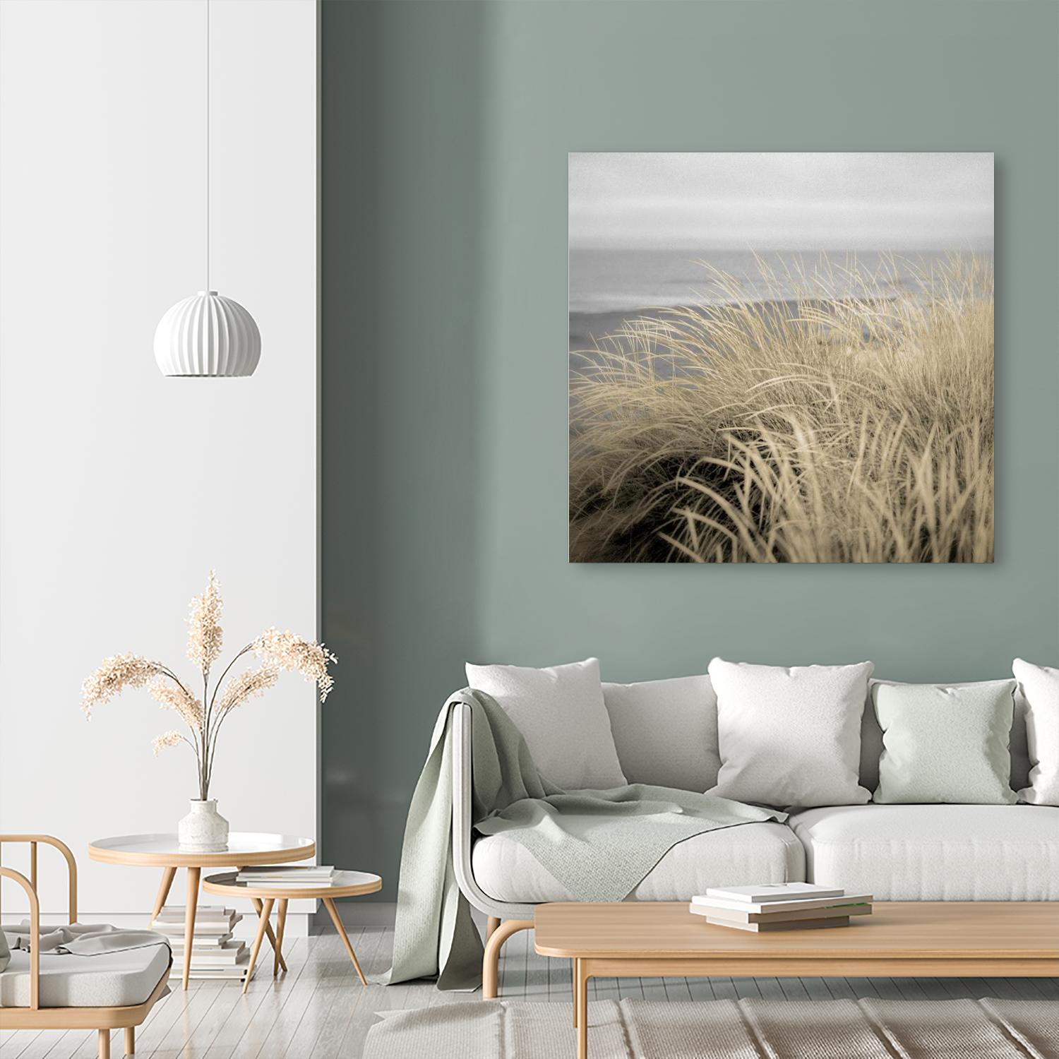 Tuscan Dunes #2A by Alan Blaustein on GIANT ART - multicolor photography; landscapes; coastal