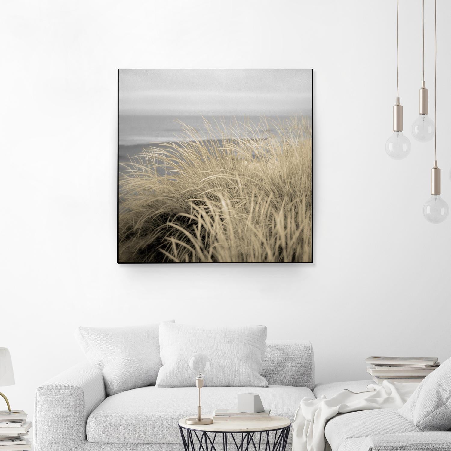Tuscan Dunes #2A by Alan Blaustein on GIANT ART - multicolor photography; landscapes; coastal