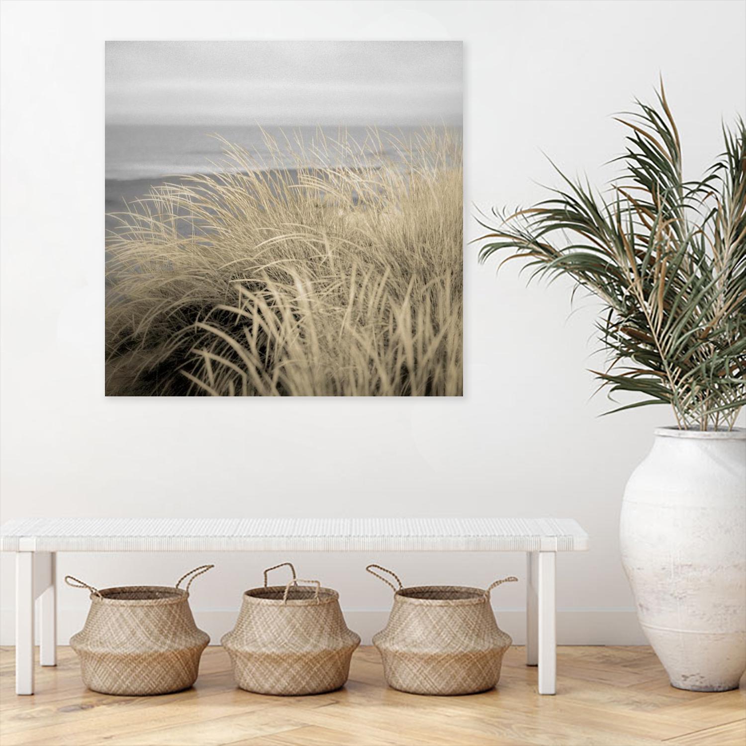 Tuscan Dunes #2A by Alan Blaustein on GIANT ART - multicolor photography; landscapes; coastal