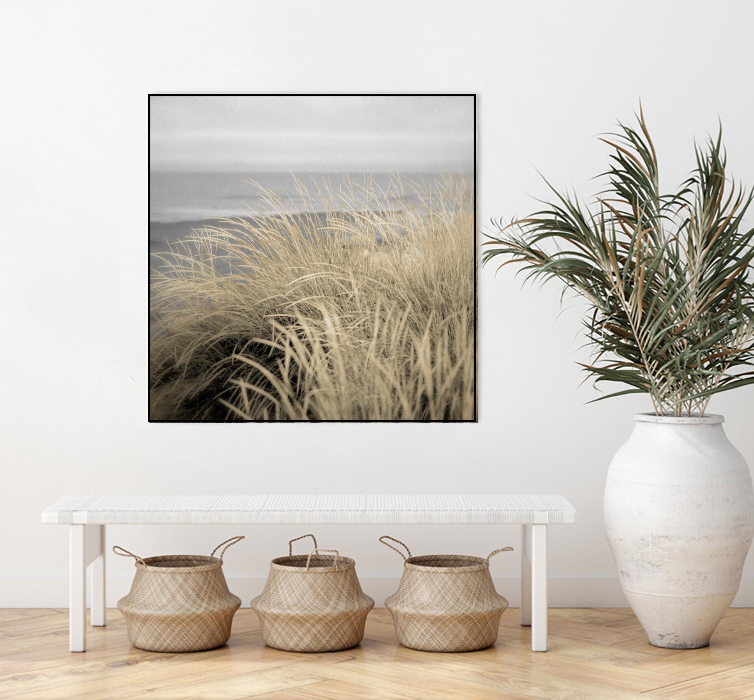 Tuscan Dunes #2A by Alan Blaustein on GIANT ART - multicolor photography; landscapes; coastal