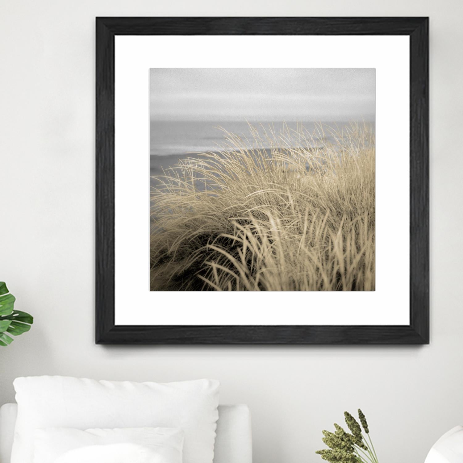 Tuscan Dunes #2A by Alan Blaustein on GIANT ART - multicolor photography; landscapes; coastal