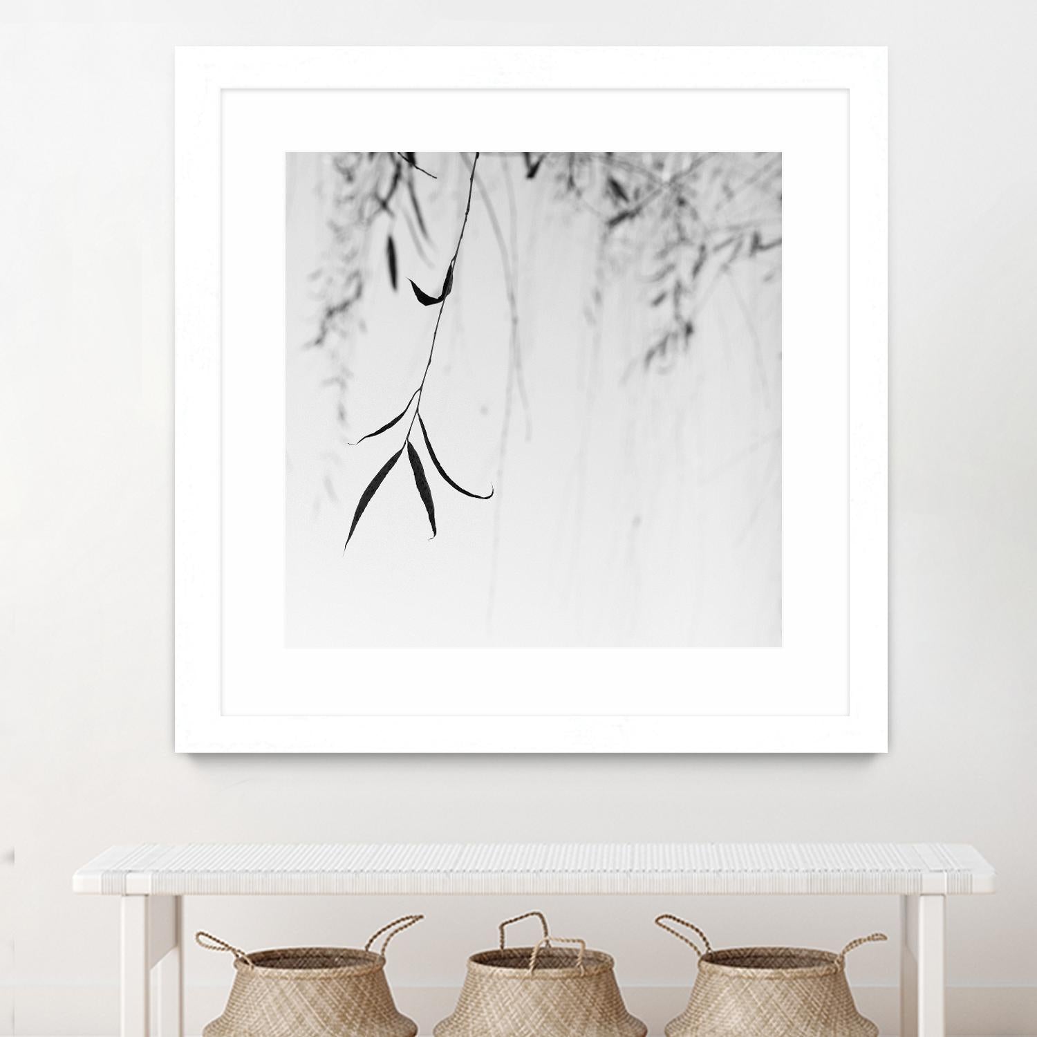 Willow Print No. 1 by Nicholas Bell on GIANT ART - multicolor photography