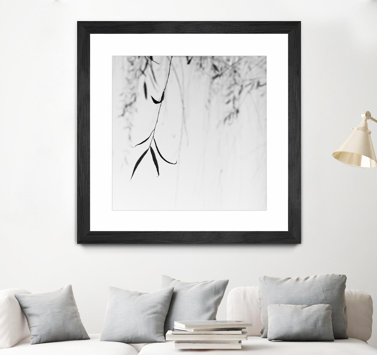 Willow Print No. 1 by Nicholas Bell on GIANT ART - multicolor photography