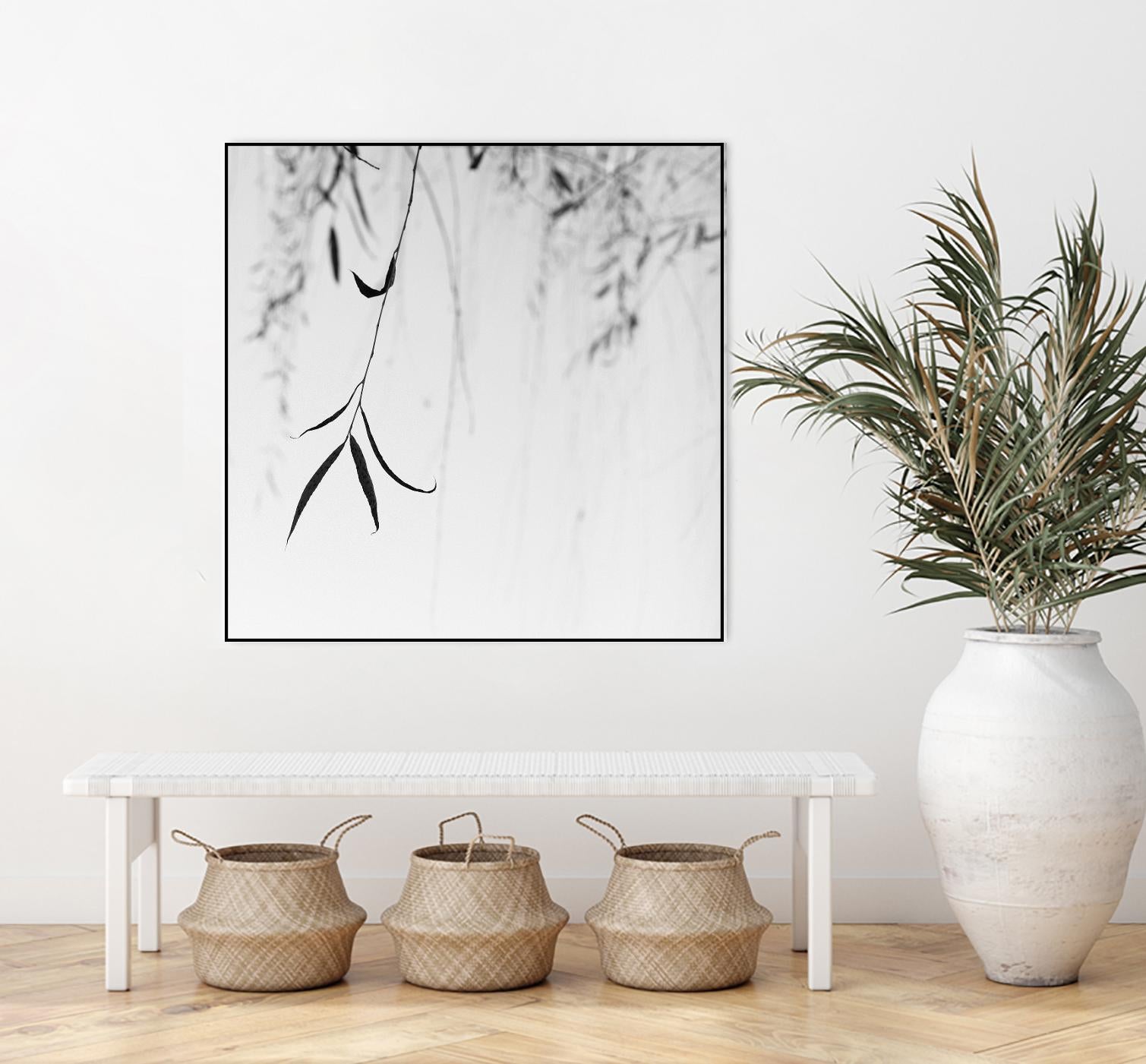 Willow Print No. 1 by Nicholas Bell on GIANT ART - multicolor photography