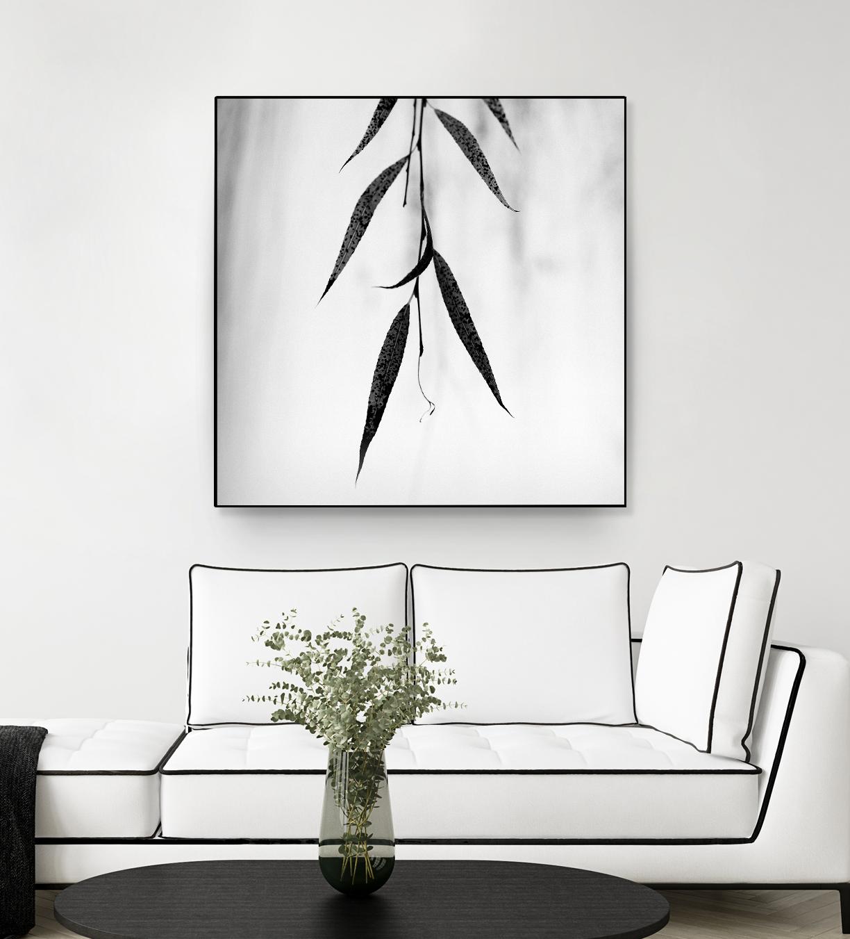 Willow Print No. 2 by Nicholas Bell on GIANT ART - multicolor photography