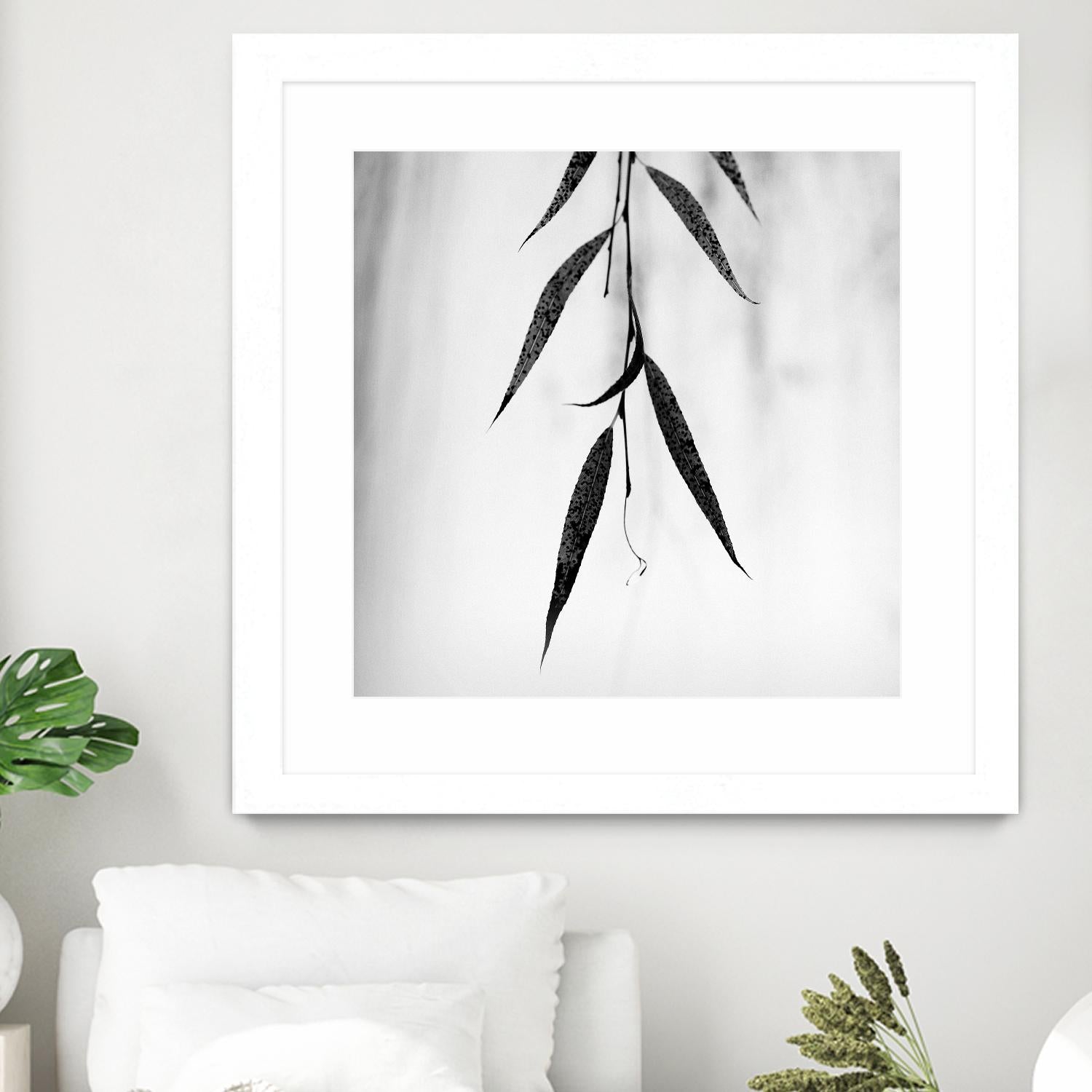 Willow Print No. 2 by Nicholas Bell on GIANT ART - multicolor photography