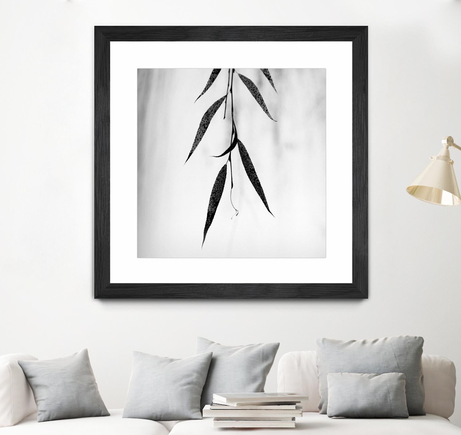 Willow Print No. 2 by Nicholas Bell on GIANT ART - multicolor photography