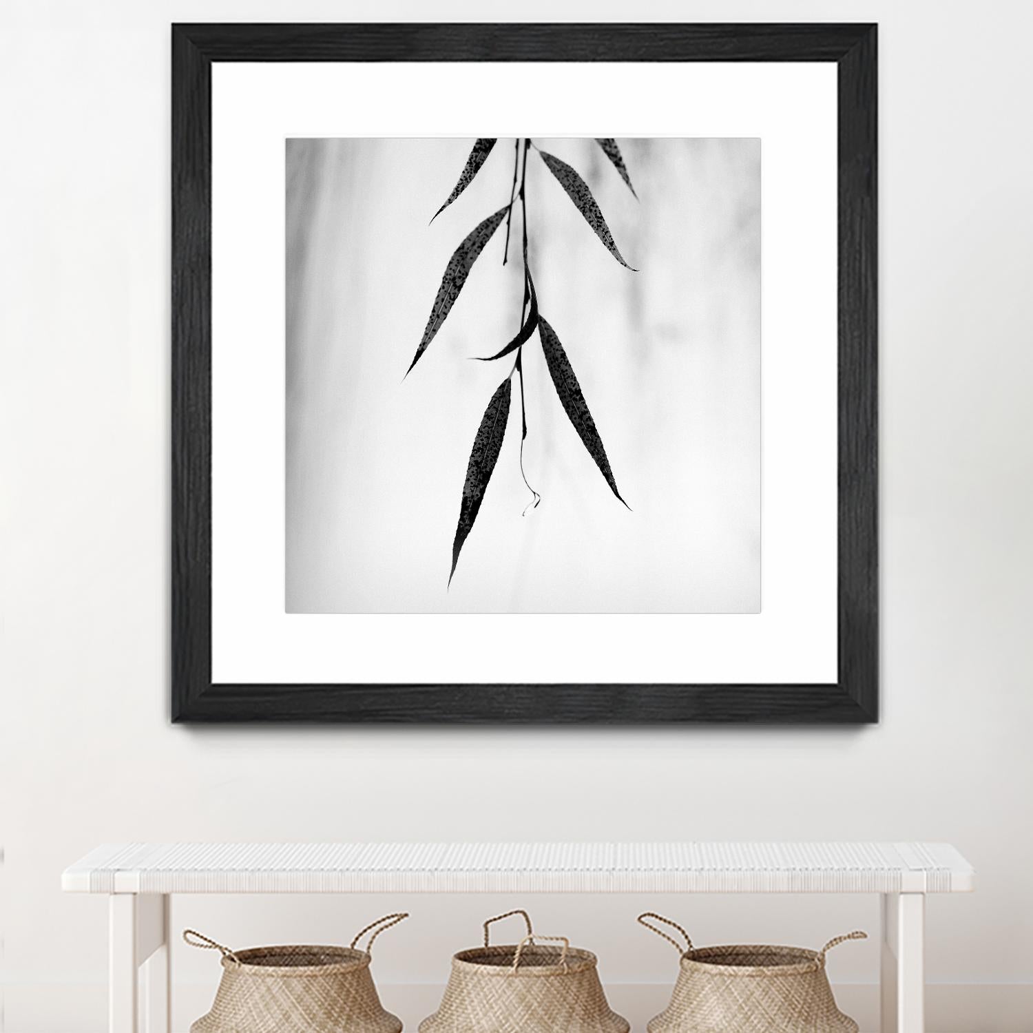 Willow Print No. 2 by Nicholas Bell on GIANT ART - multicolor photography