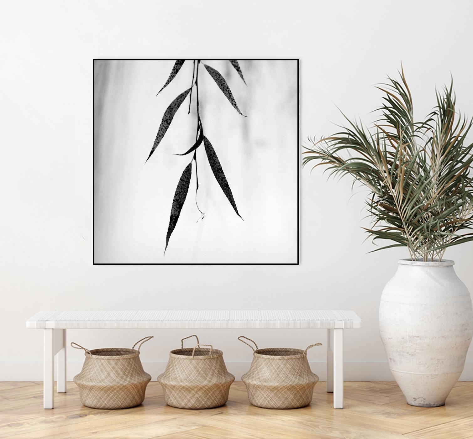 Willow Print No. 2 by Nicholas Bell on GIANT ART - multicolor photography