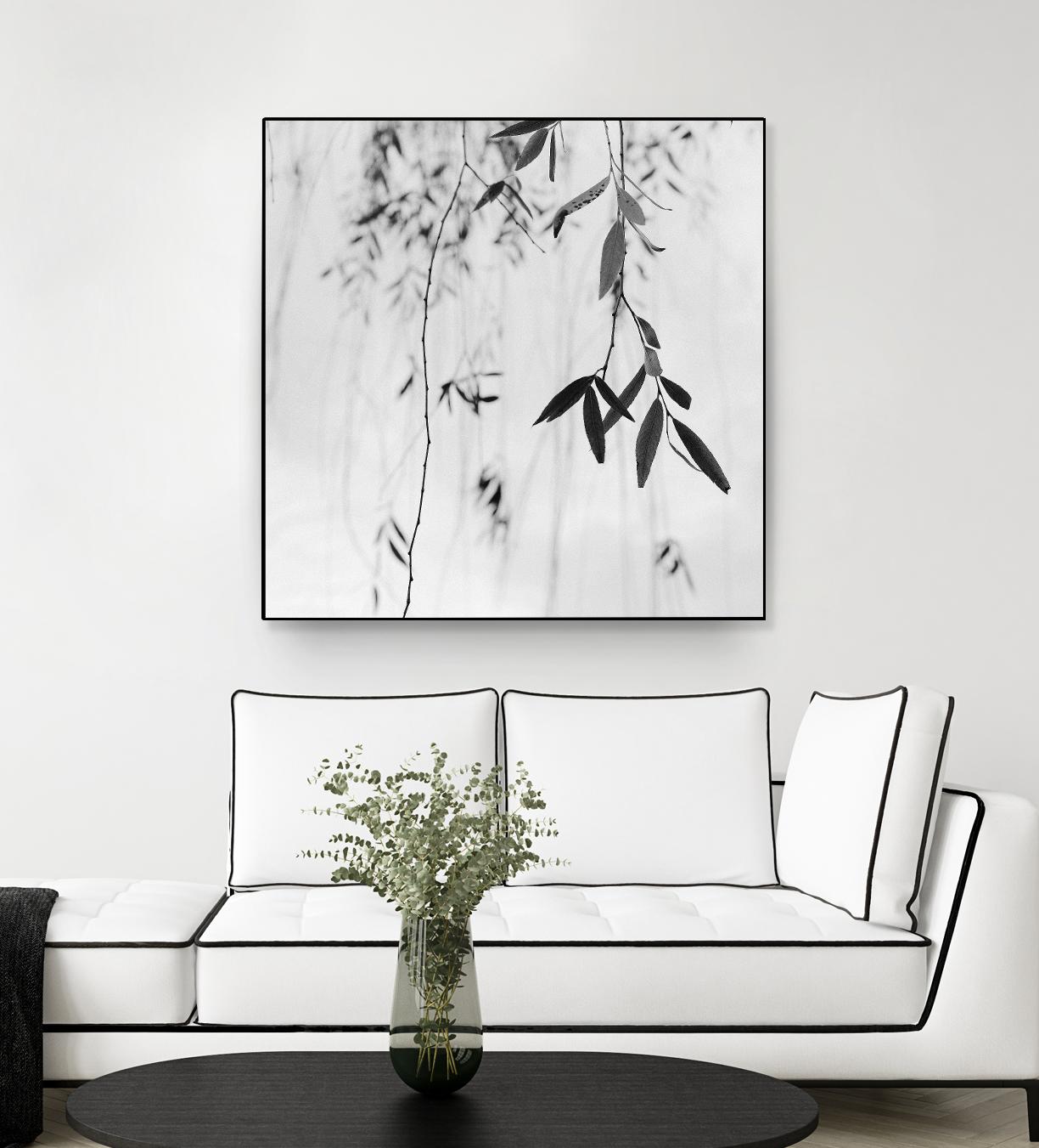 Willow Print No. 3 by Nicholas Bell on GIANT ART - multicolor photography