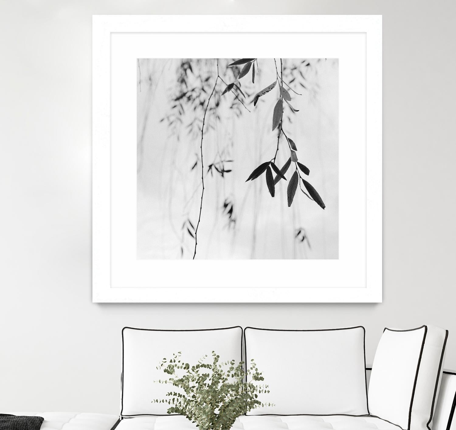 Willow Print No. 3 by Nicholas Bell on GIANT ART - multicolor photography