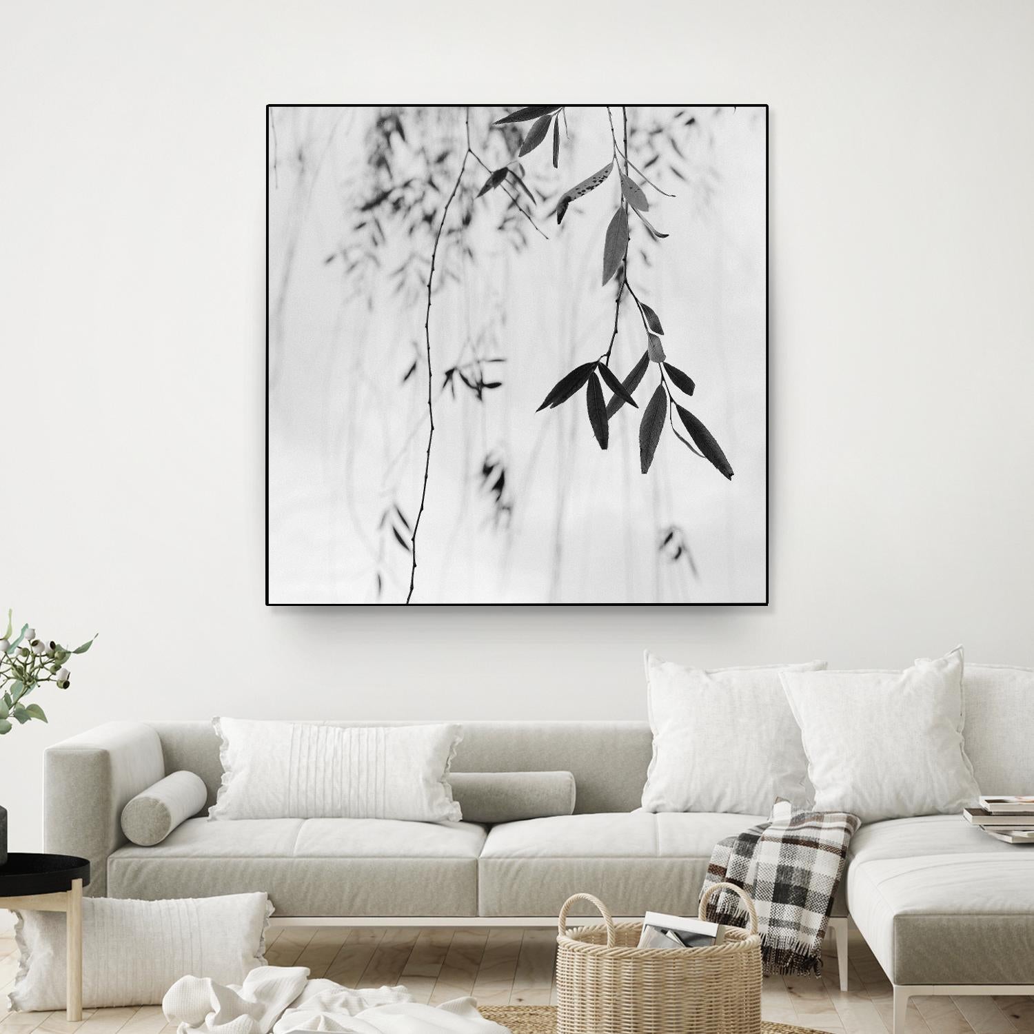 Willow Print No. 3 by Nicholas Bell on GIANT ART - multicolor photography