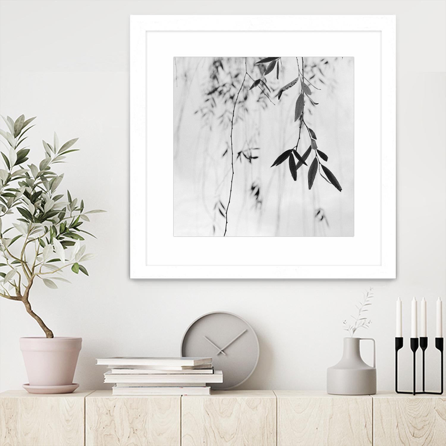 Willow Print No. 3 by Nicholas Bell on GIANT ART - multicolor photography