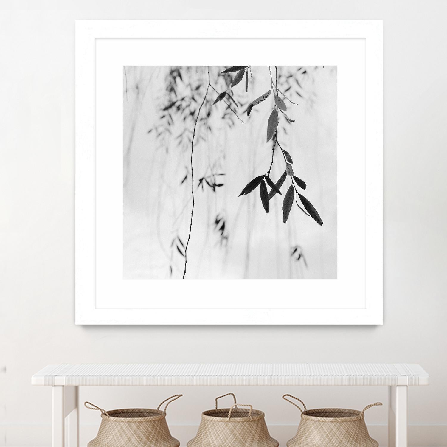 Willow Print No. 3 by Nicholas Bell on GIANT ART - multicolor photography