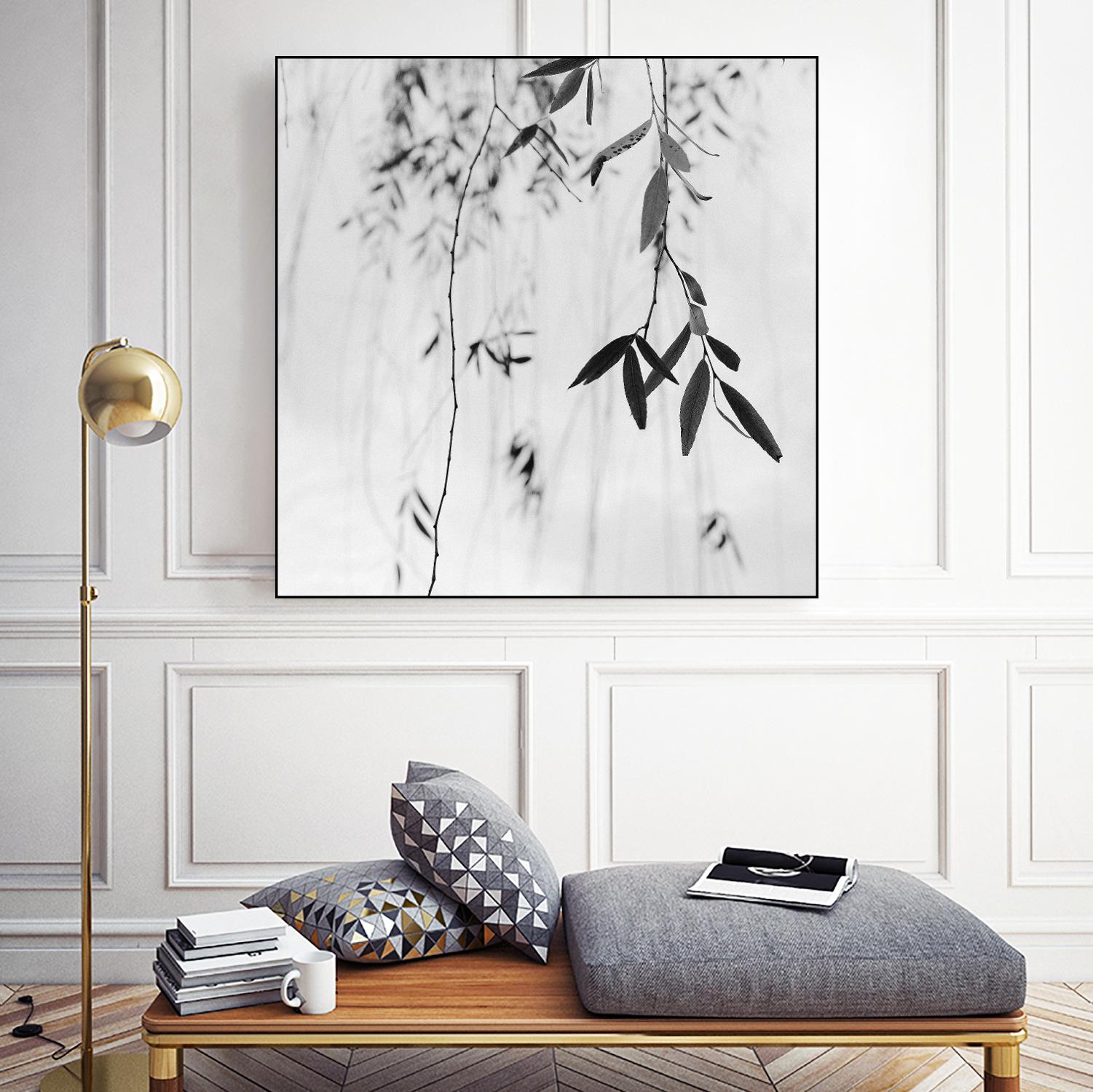 Willow Print No. 3 by Nicholas Bell on GIANT ART - multicolor photography