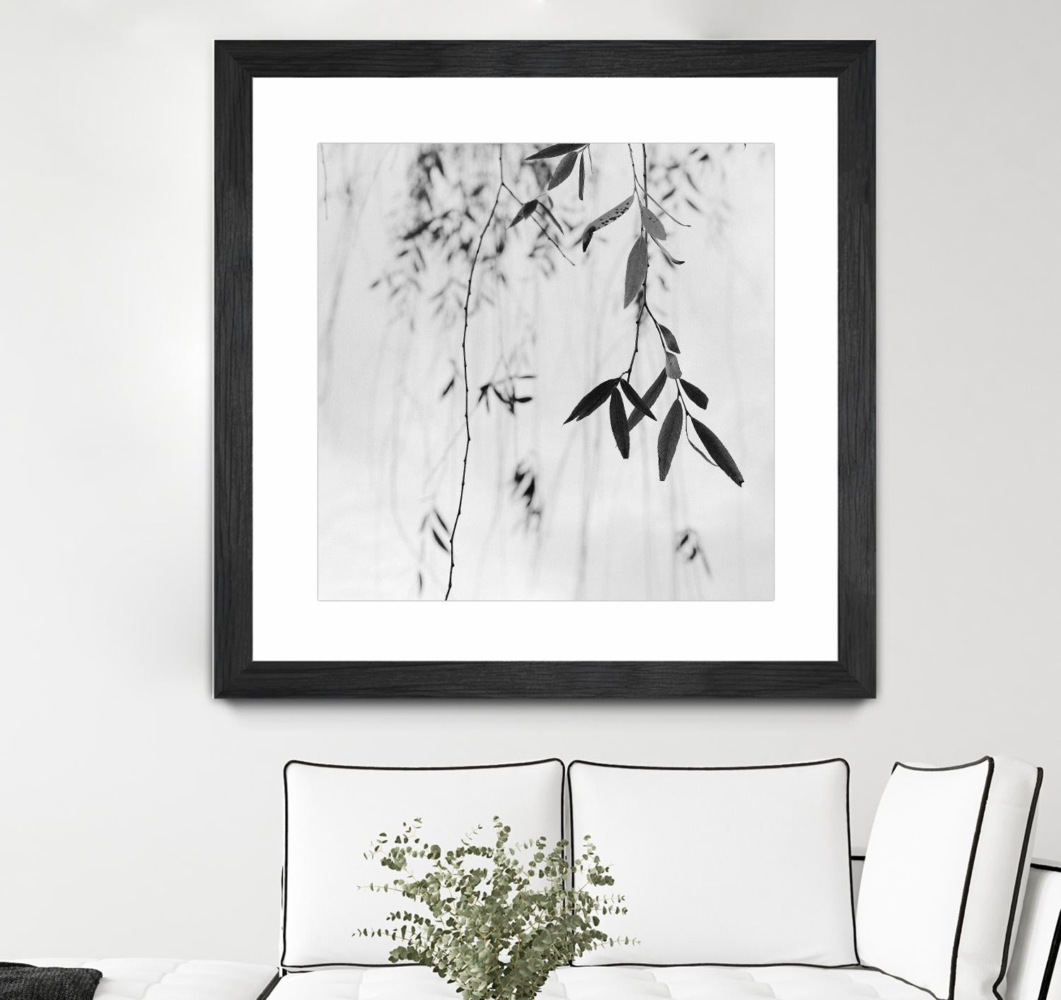 Willow Print No. 3 by Nicholas Bell on GIANT ART - multicolor photography