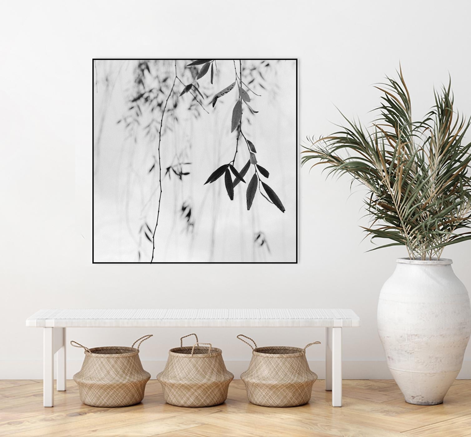 Willow Print No. 3 by Nicholas Bell on GIANT ART - multicolor photography