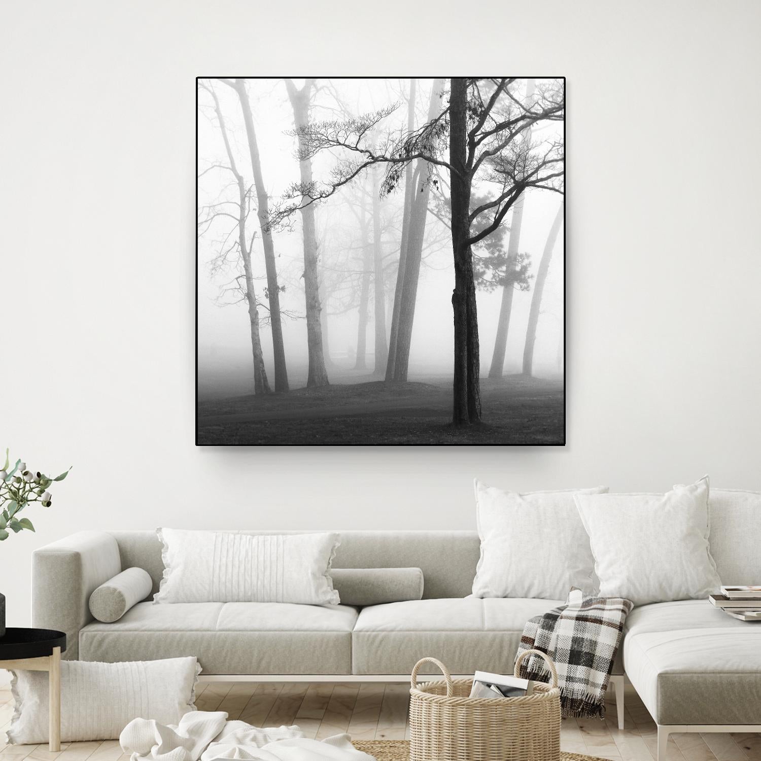 Etheral Trees by Nicholas Bell on GIANT ART - pink,orange landscapes, photography