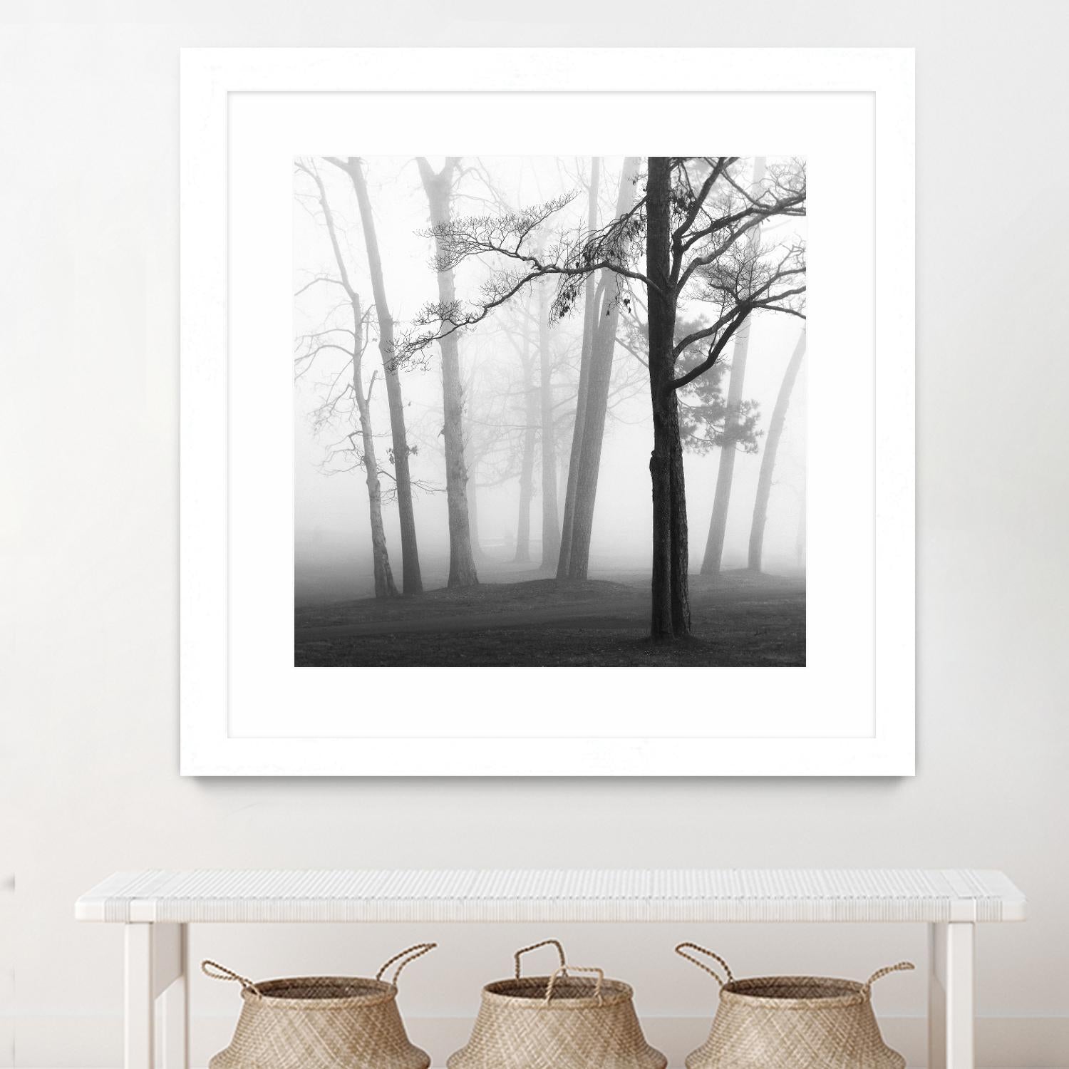 Etheral Trees by Nicholas Bell on GIANT ART - pink,orange landscapes, photography