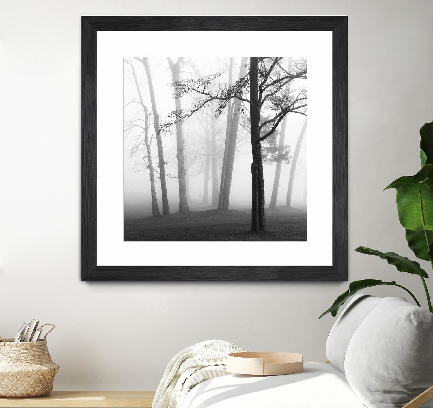 Etheral Trees by Nicholas Bell on GIANT ART - pink,orange landscapes, photography