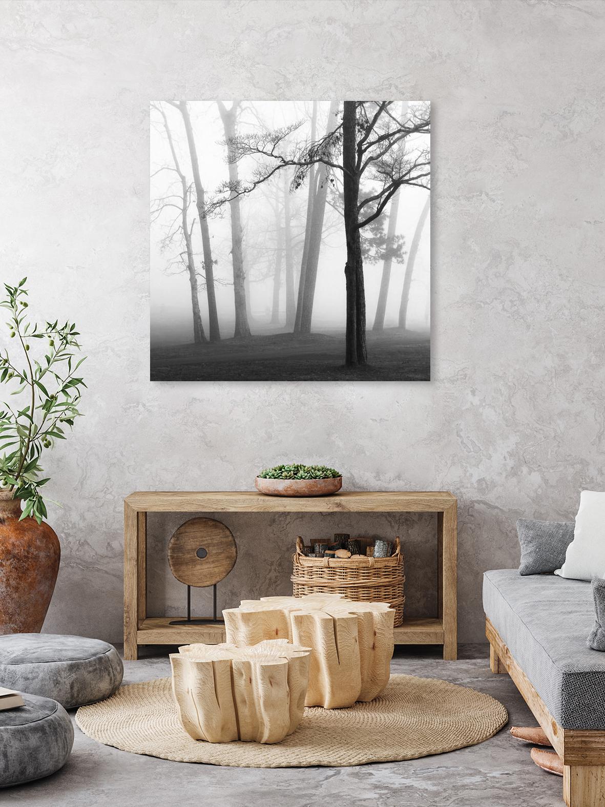 Etheral Trees by Nicholas Bell on GIANT ART - white black & white forest