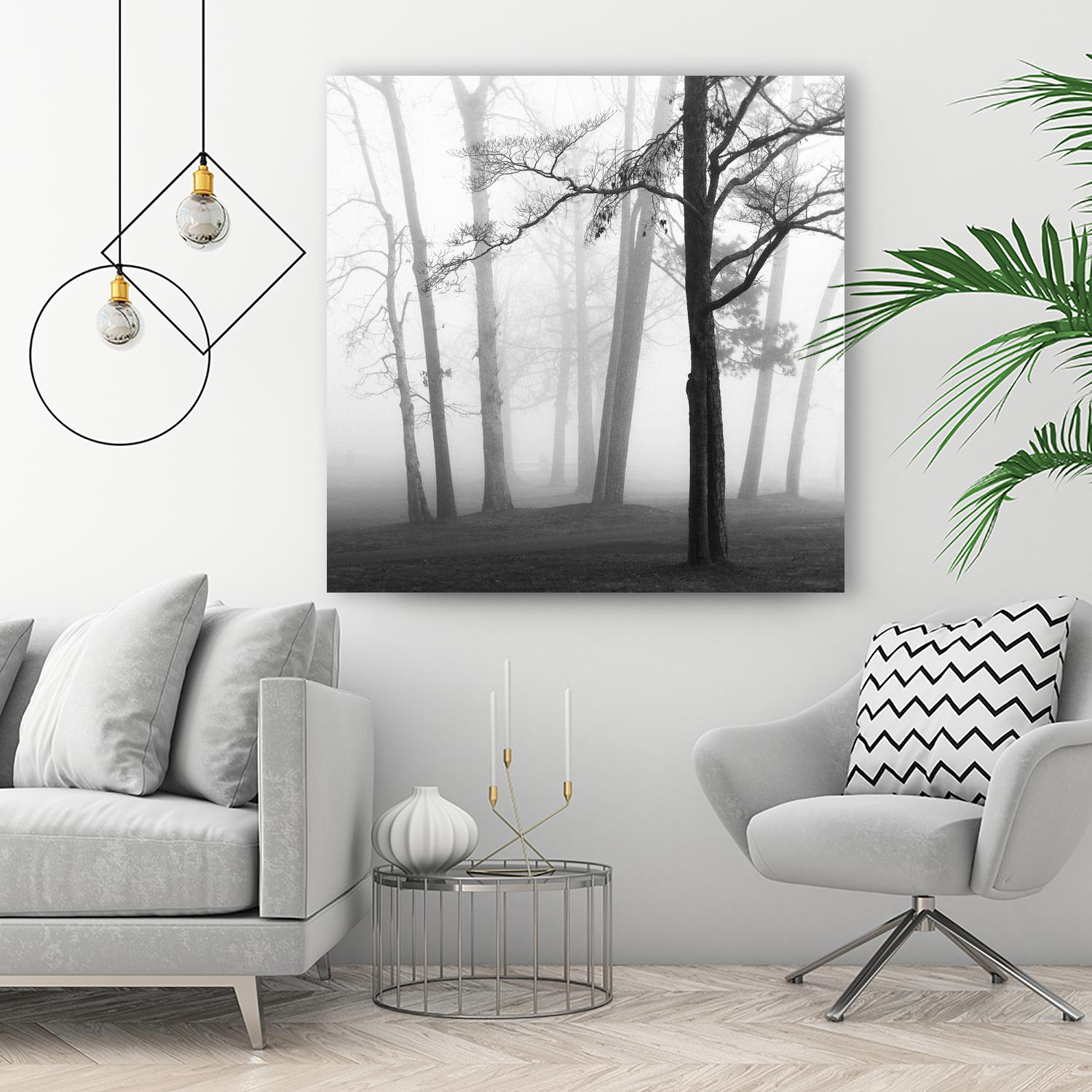 Etheral Trees by Nicholas Bell on GIANT ART - white black & white forest