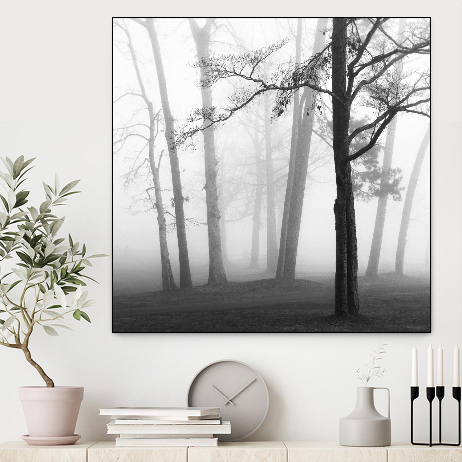 Etheral Trees by Nicholas Bell on GIANT ART - pink,orange landscapes, photography