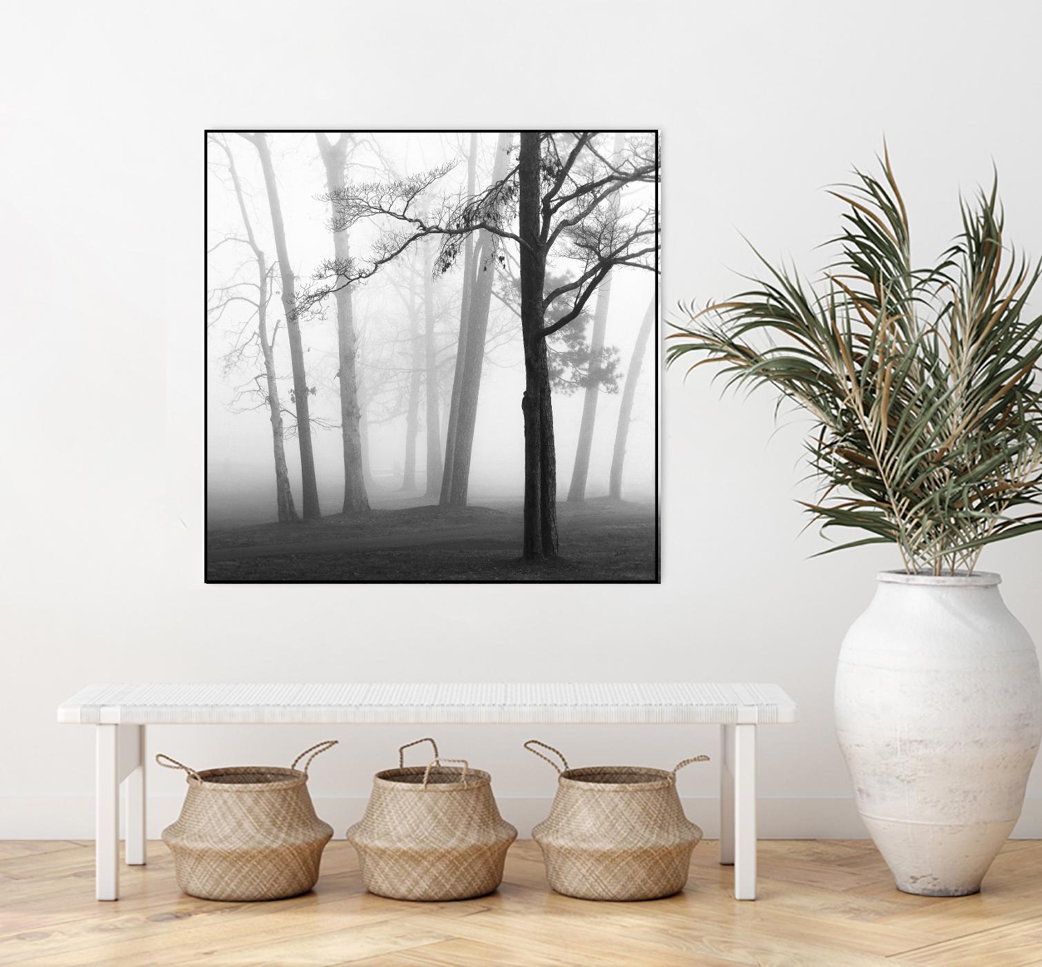 Etheral Trees by Nicholas Bell on GIANT ART - pink,orange landscapes, photography