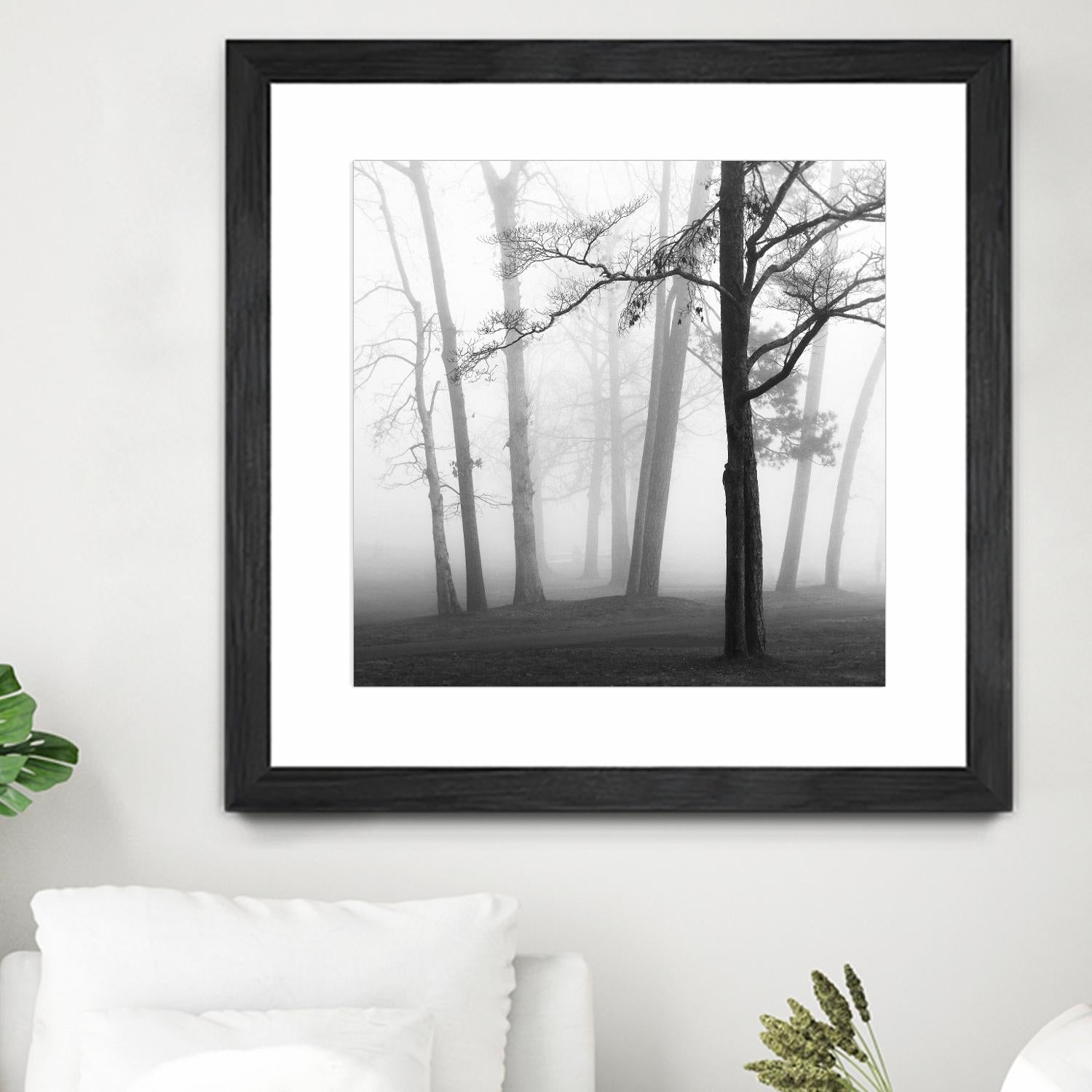 Etheral Trees by Nicholas Bell on GIANT ART - pink,orange landscapes, photography