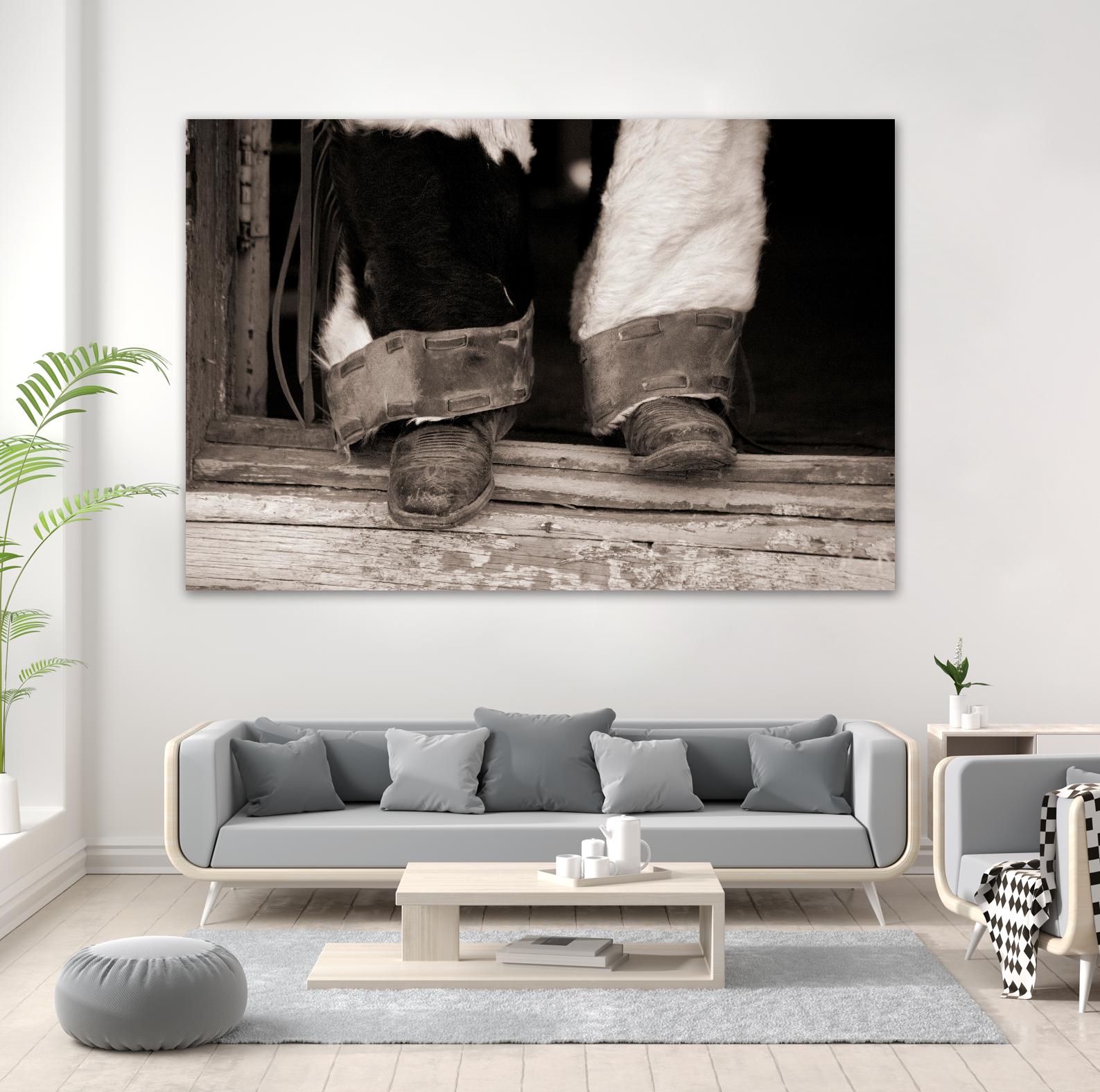 Furry Chaps by Lisa Dearing on GIANT ART - multicolor photography; figurative