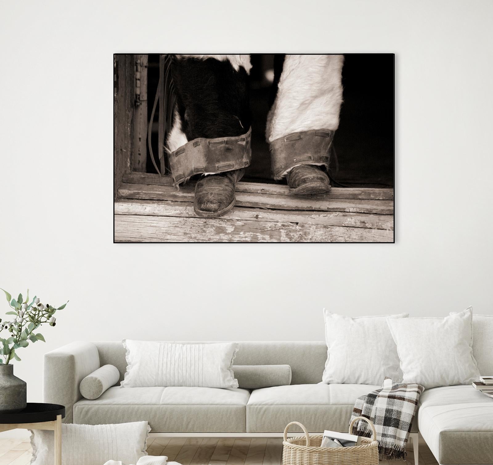 Furry Chaps by Lisa Dearing on GIANT ART - multicolor photography; figurative