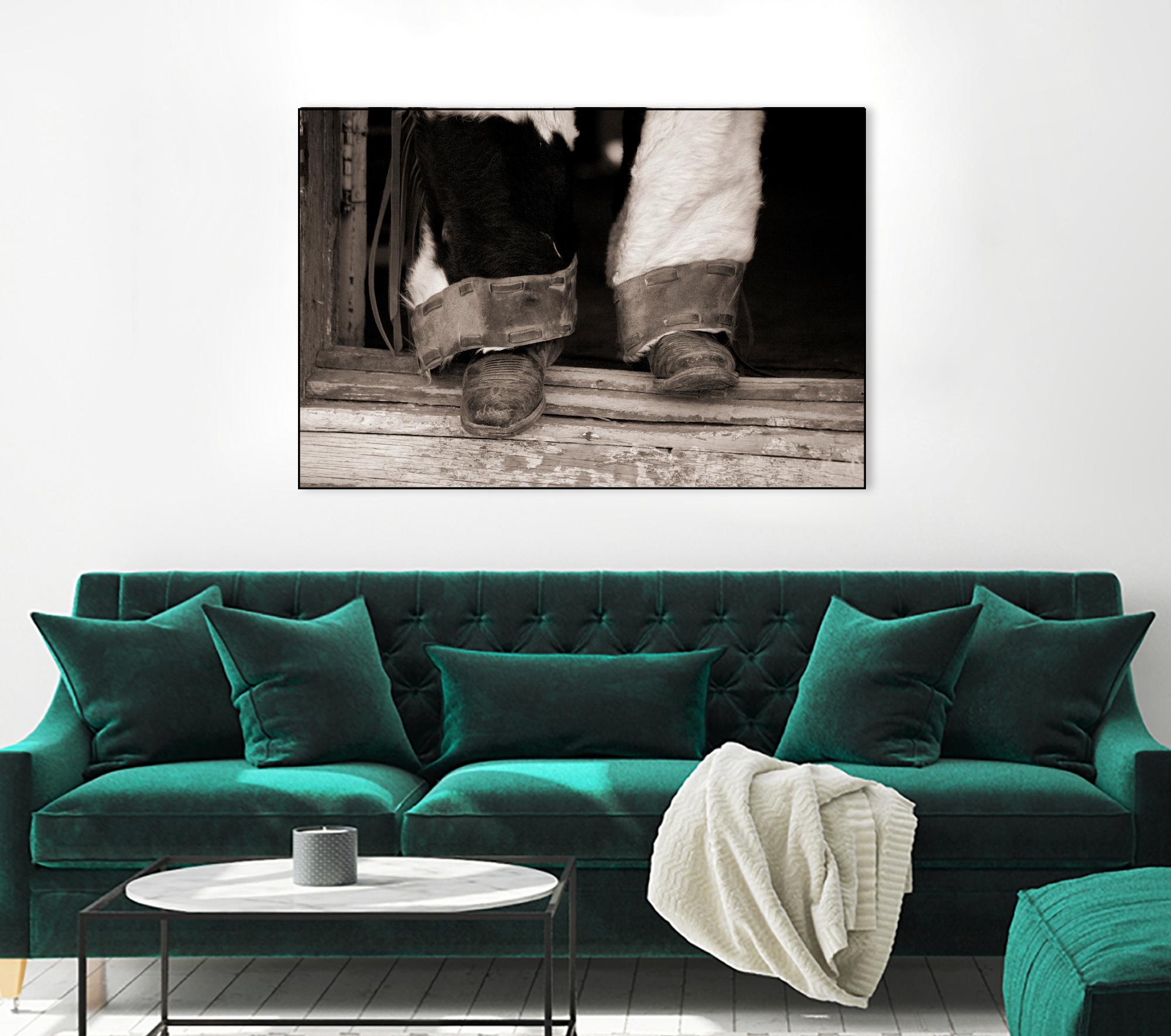 Furry Chaps by Lisa Dearing on GIANT ART - multicolor photography; figurative