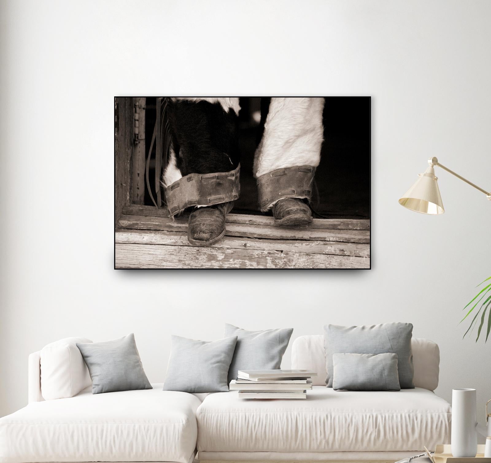 Furry Chaps by Lisa Dearing on GIANT ART - multicolor photography; figurative