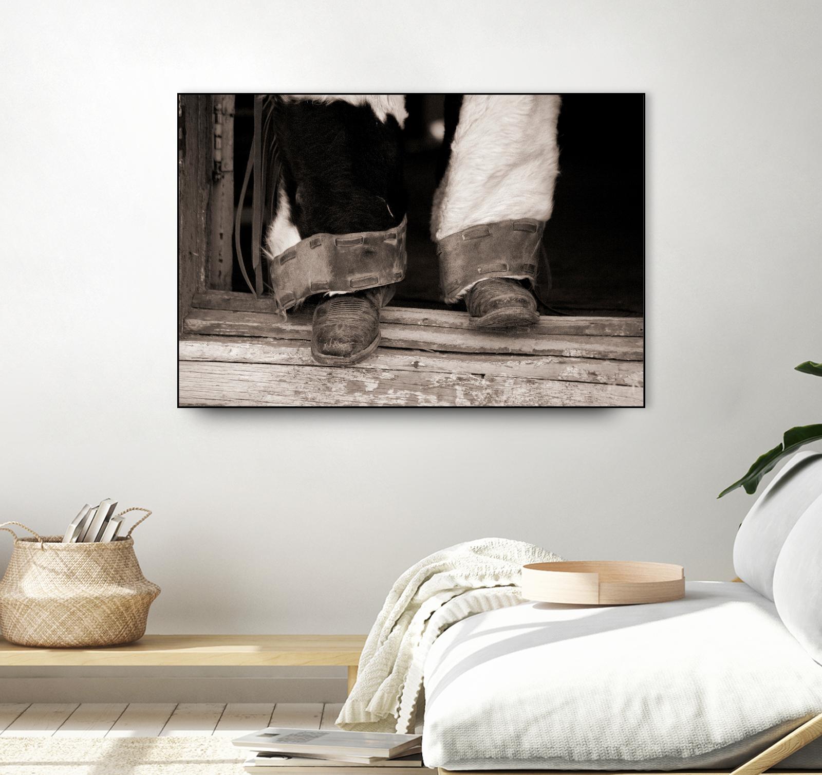 Furry Chaps by Lisa Dearing on GIANT ART - multicolor photography; figurative