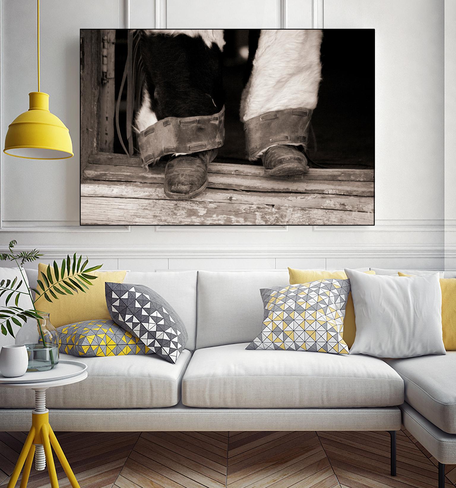 Furry Chaps by Lisa Dearing on GIANT ART - multicolor photography; figurative