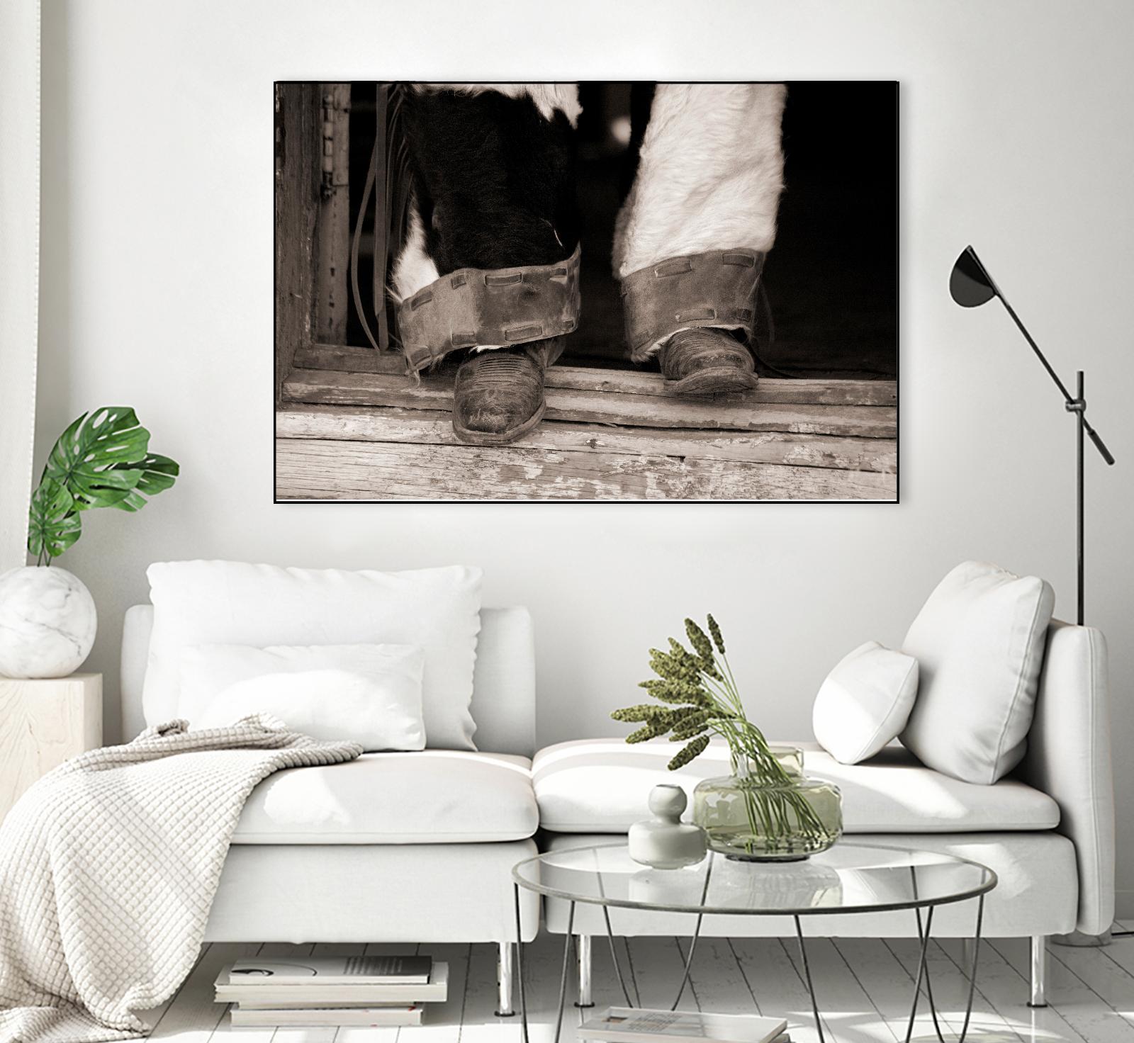 Furry Chaps by Lisa Dearing on GIANT ART - multicolor photography; figurative