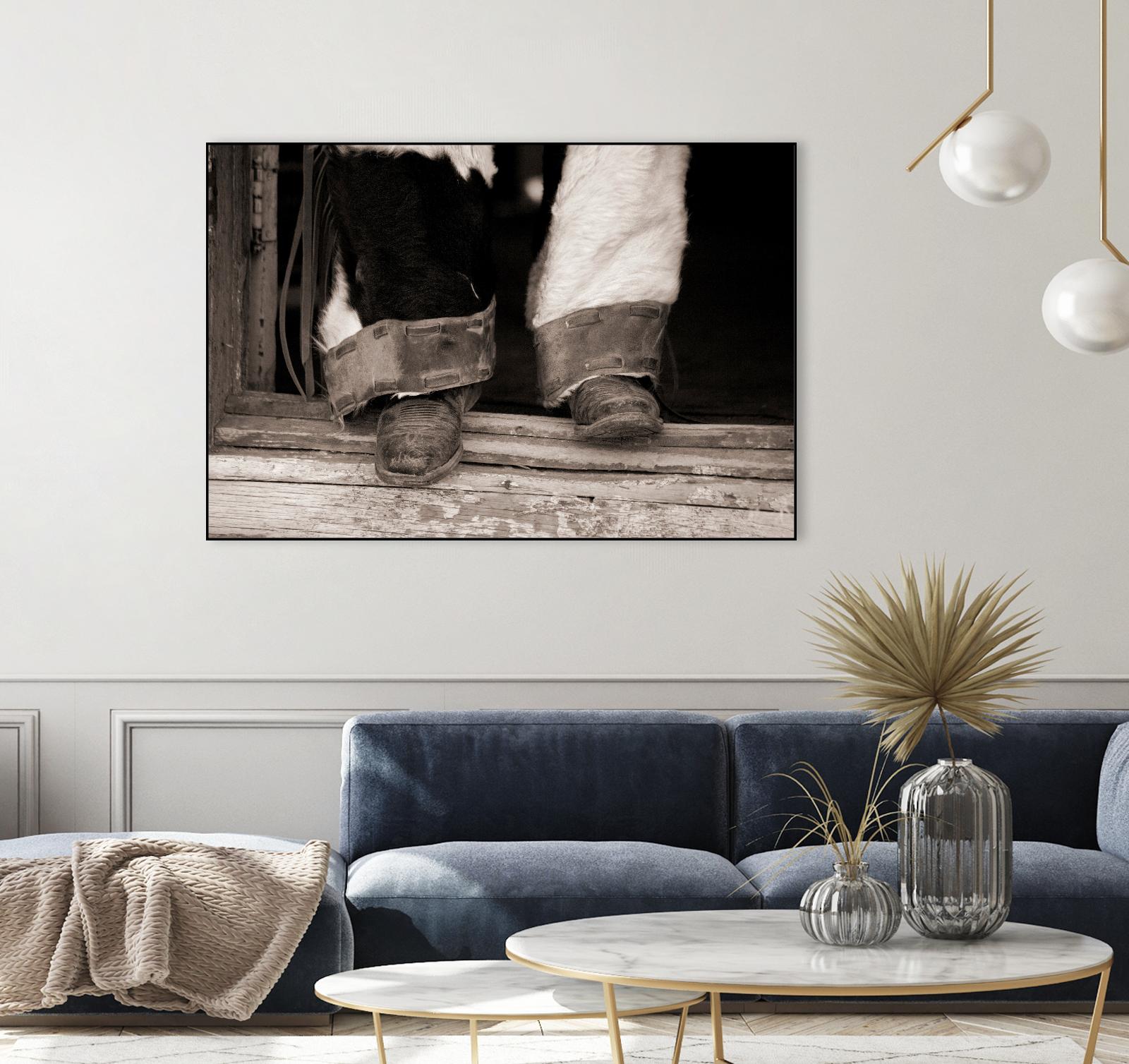 Furry Chaps by Lisa Dearing on GIANT ART - multicolor photography; figurative