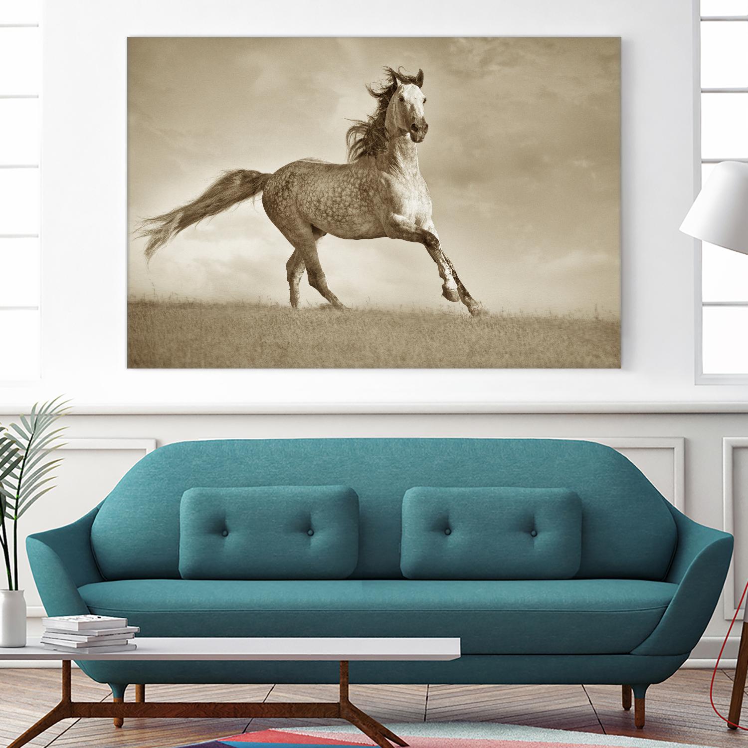 Like the Wind by Lisa Dearing on GIANT ART - multicolor photography; animals