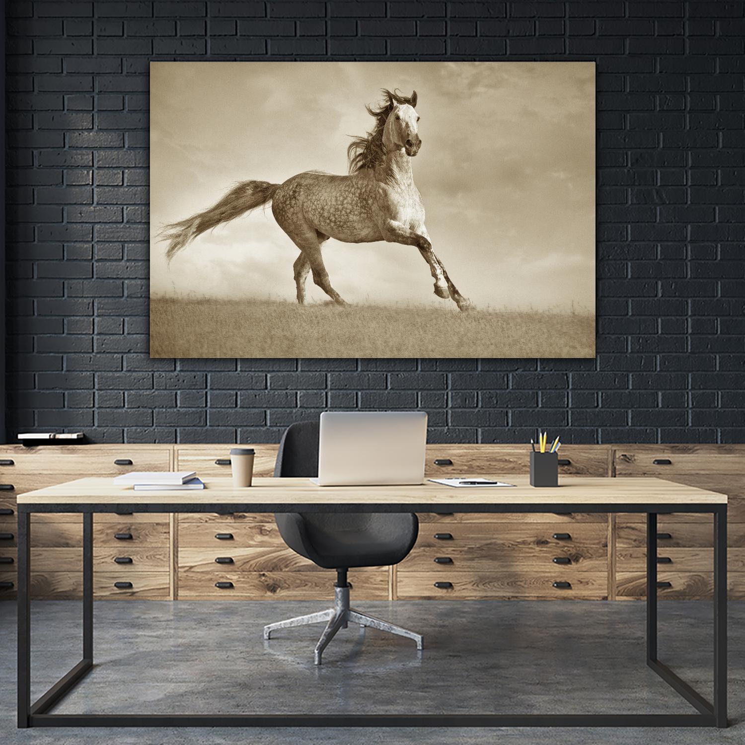 Like the Wind by Lisa Dearing on GIANT ART - multicolor photography; animals