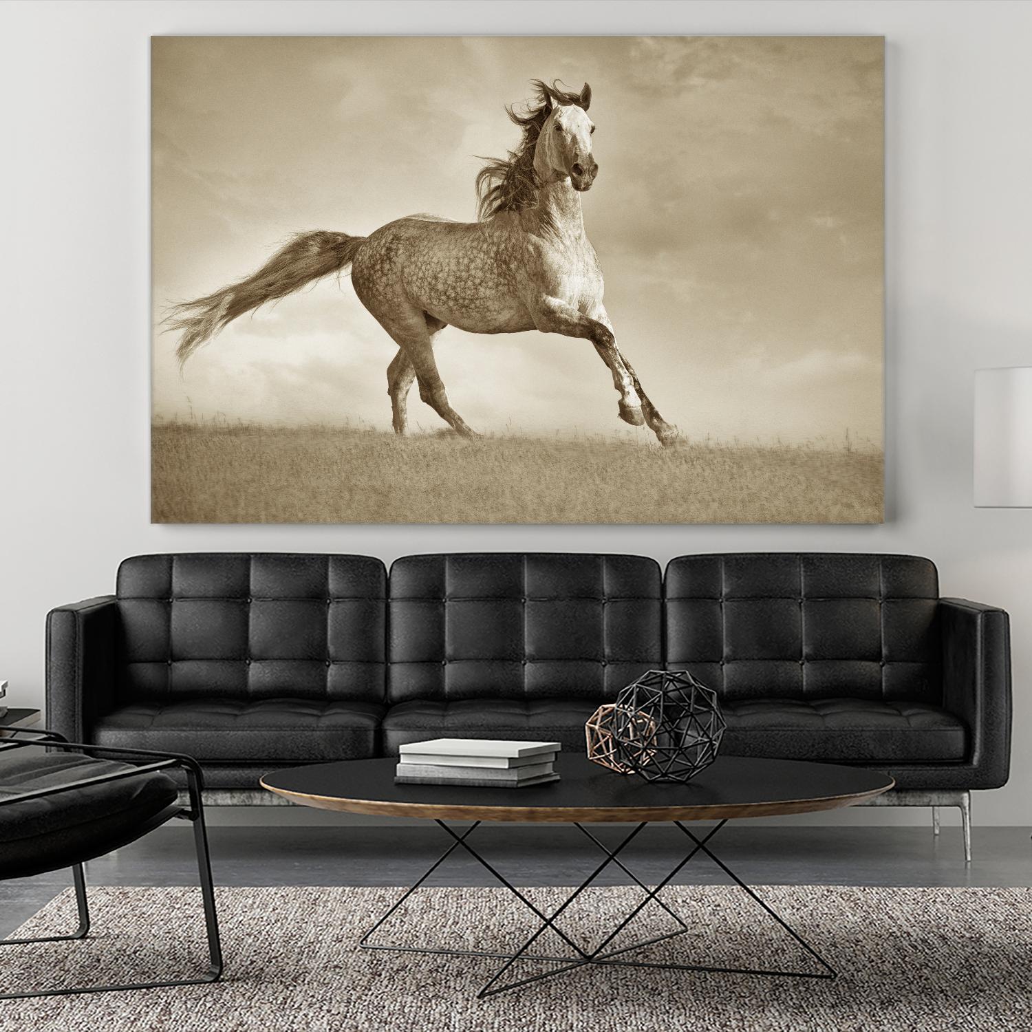 Like the Wind by Lisa Dearing on GIANT ART - multicolor photography; animals