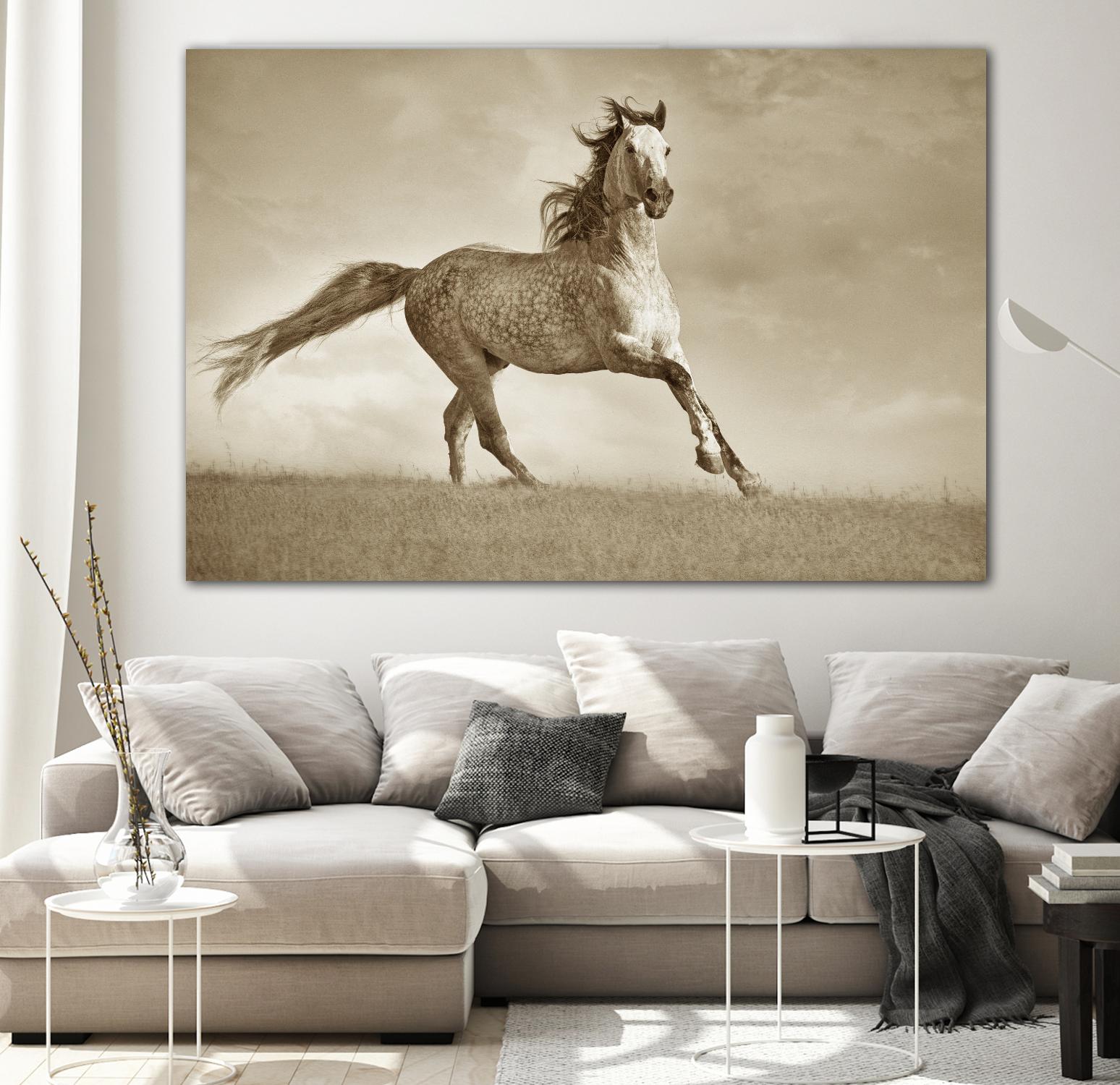 Like the Wind by Lisa Dearing on GIANT ART - multicolor photography; animals