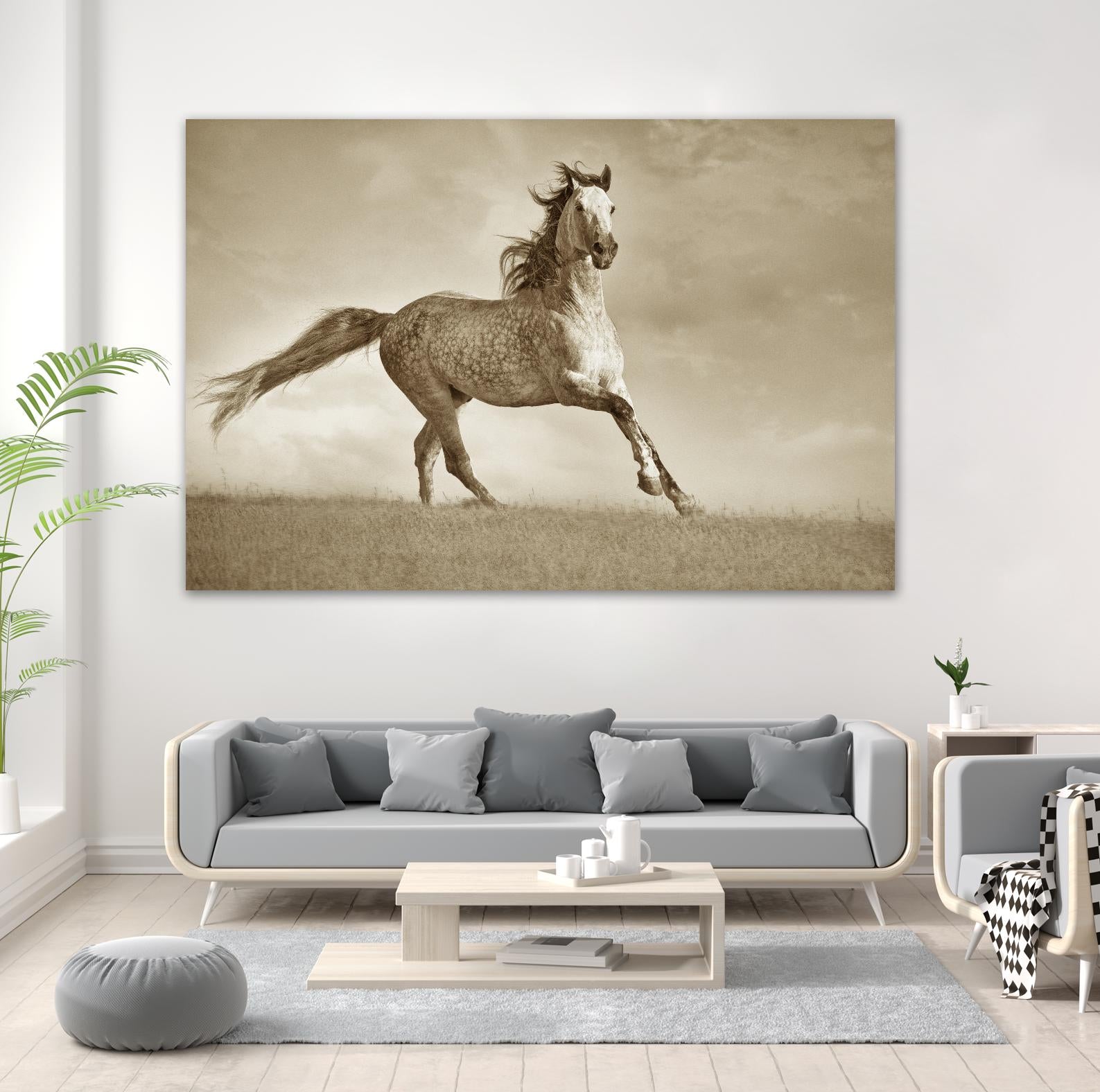 Like the Wind by Lisa Dearing on GIANT ART - multicolor photography; animals