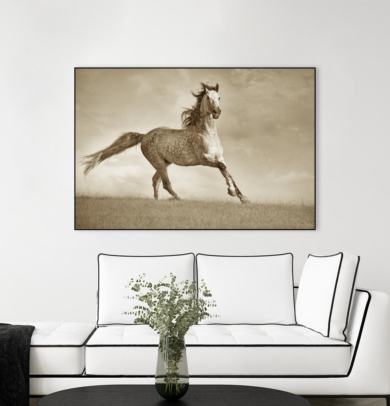 Like the Wind by Lisa Dearing on GIANT ART - multicolor photography; animals