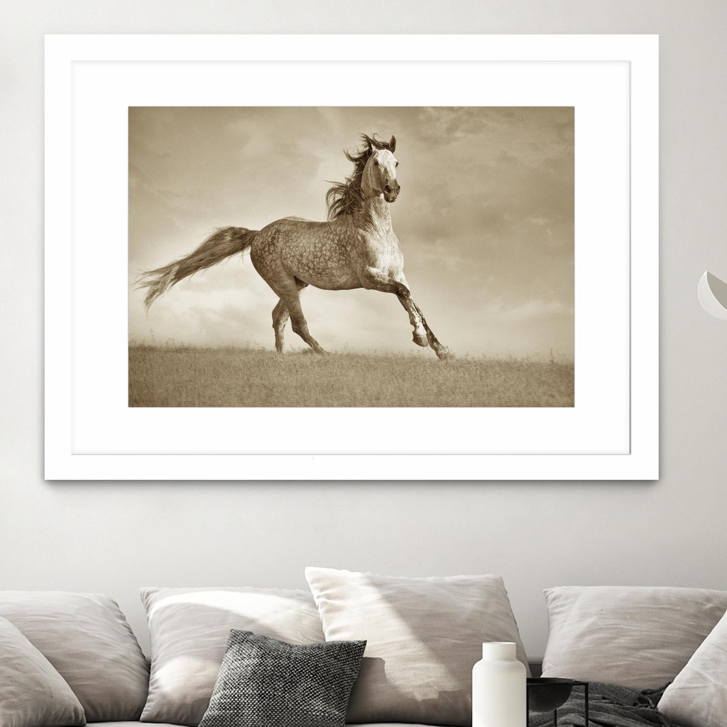 Like the Wind by Lisa Dearing on GIANT ART - multicolor photography; animals