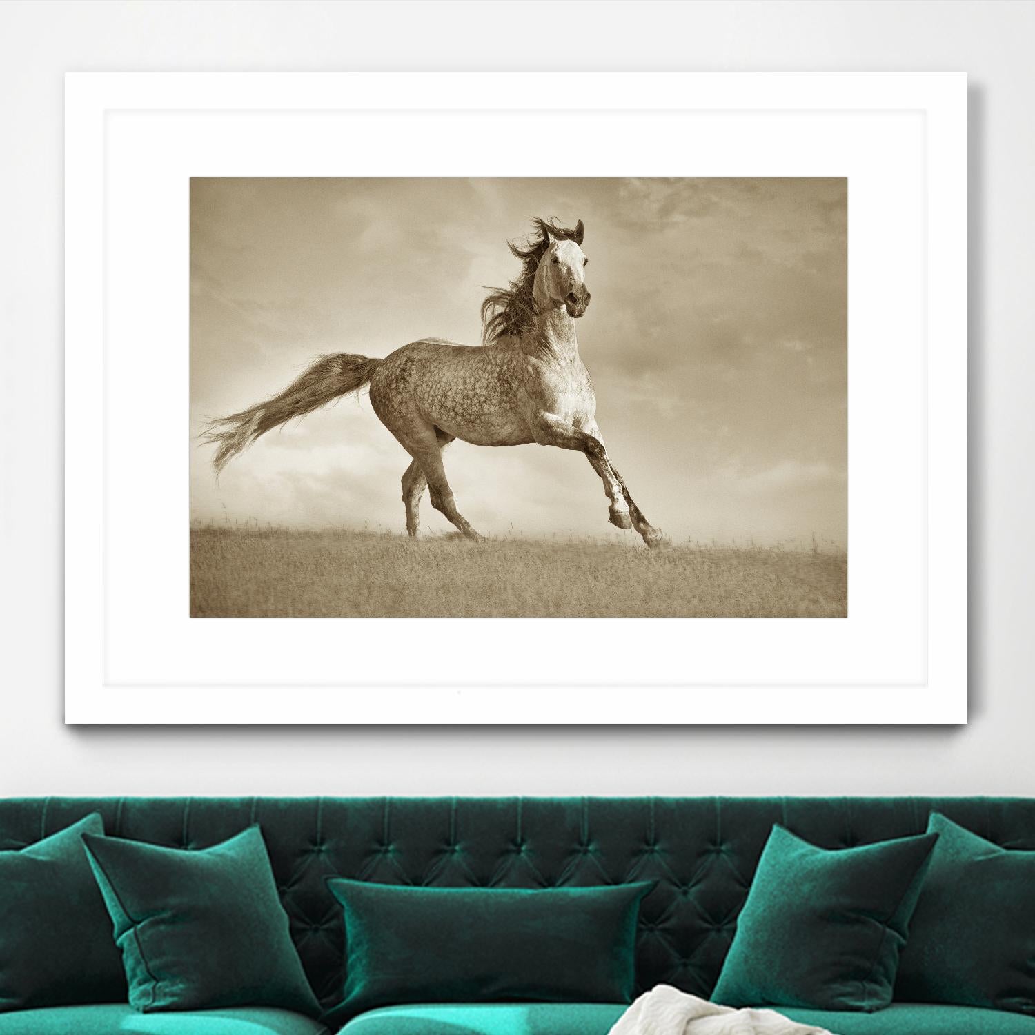 Like the Wind by Lisa Dearing on GIANT ART - multicolor photography; animals