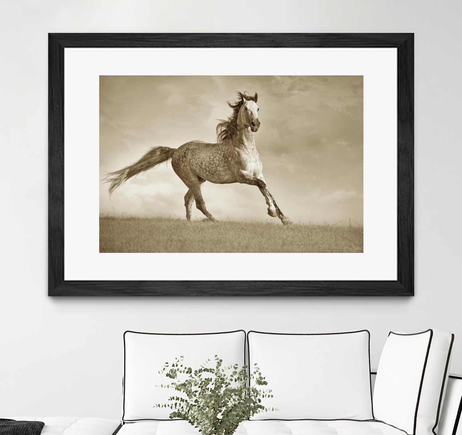 Like the Wind by Lisa Dearing on GIANT ART - multicolor photography; animals