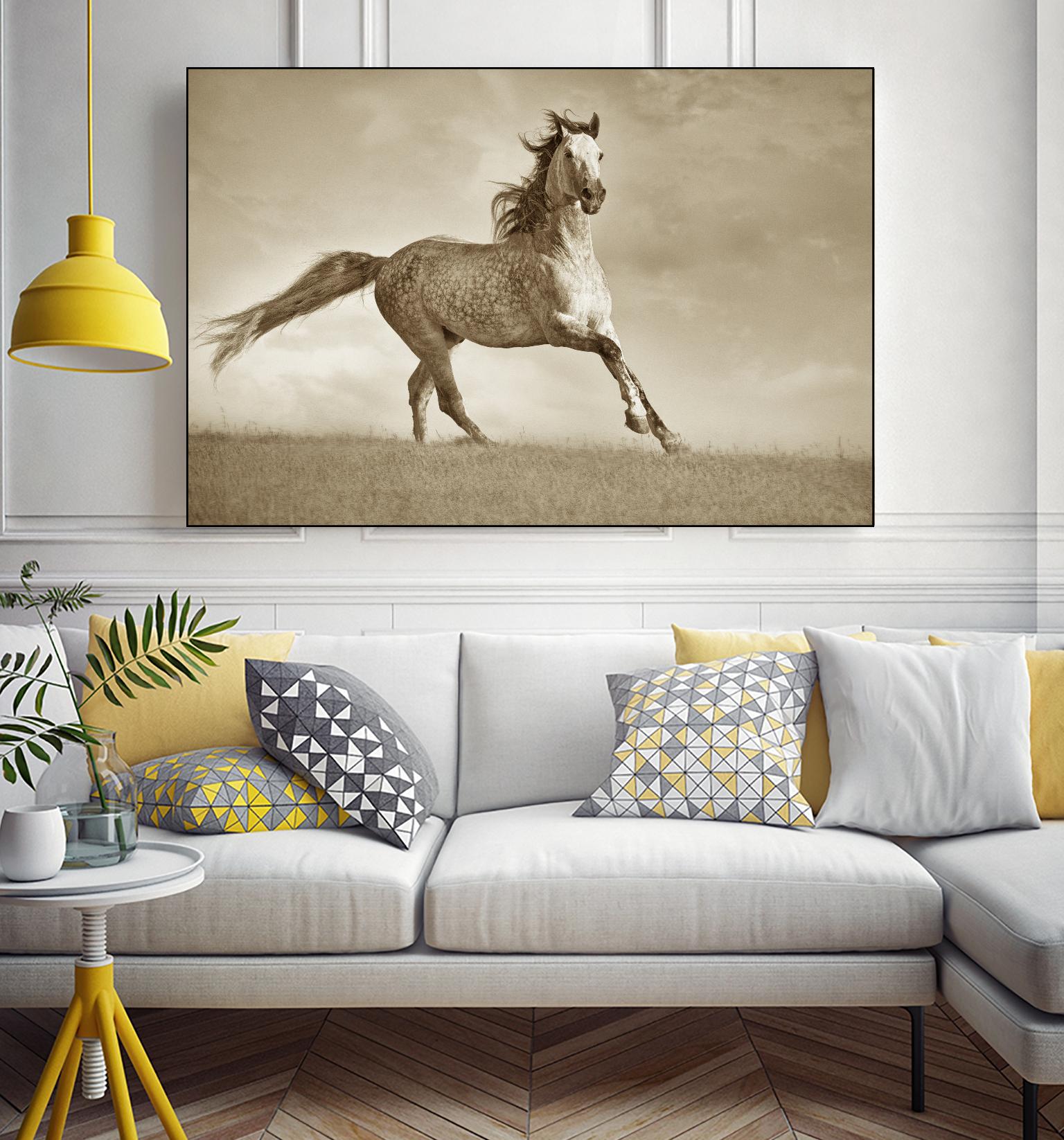 Like the Wind by Lisa Dearing on GIANT ART - multicolor photography; animals