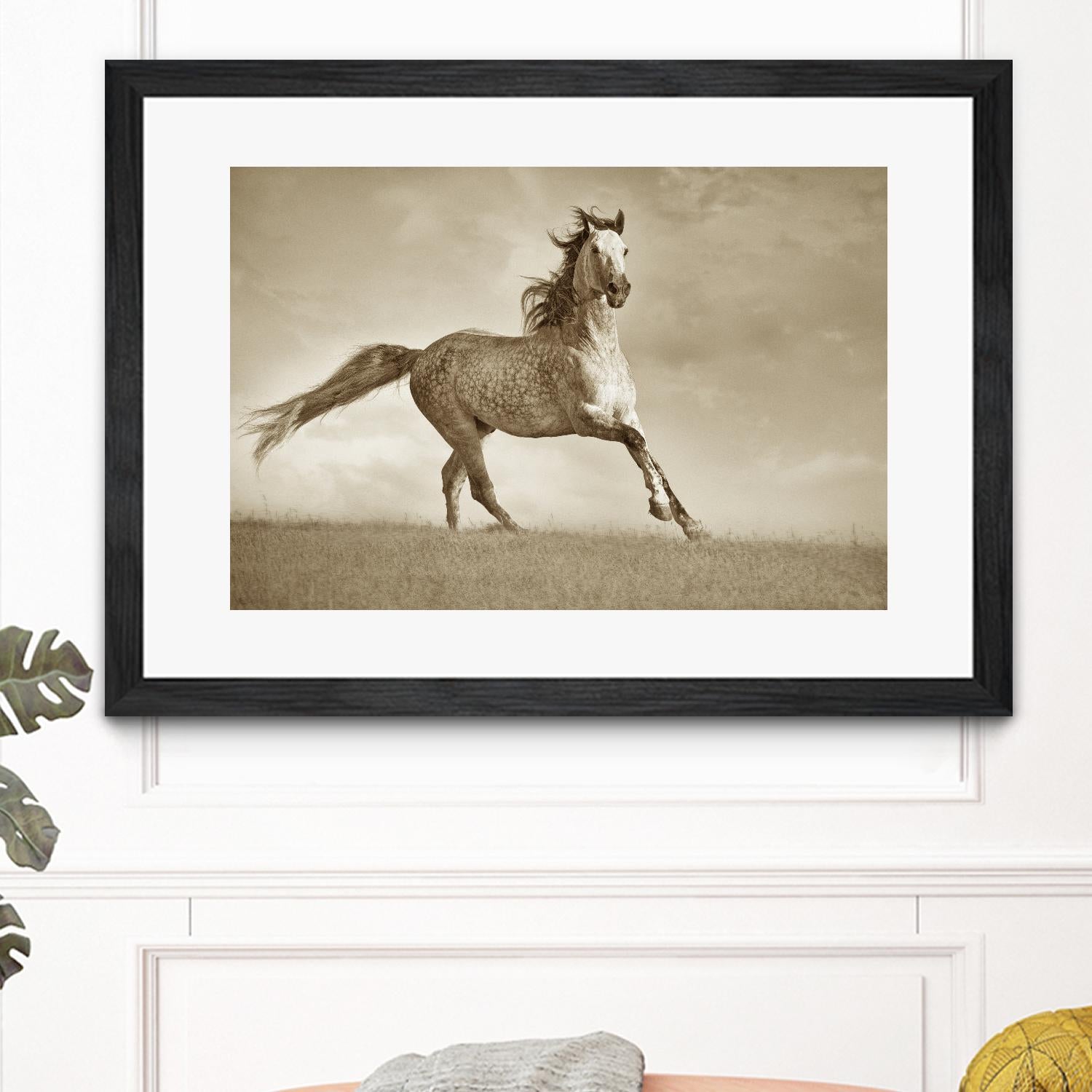 Like the Wind by Lisa Dearing on GIANT ART - multicolor photography; animals