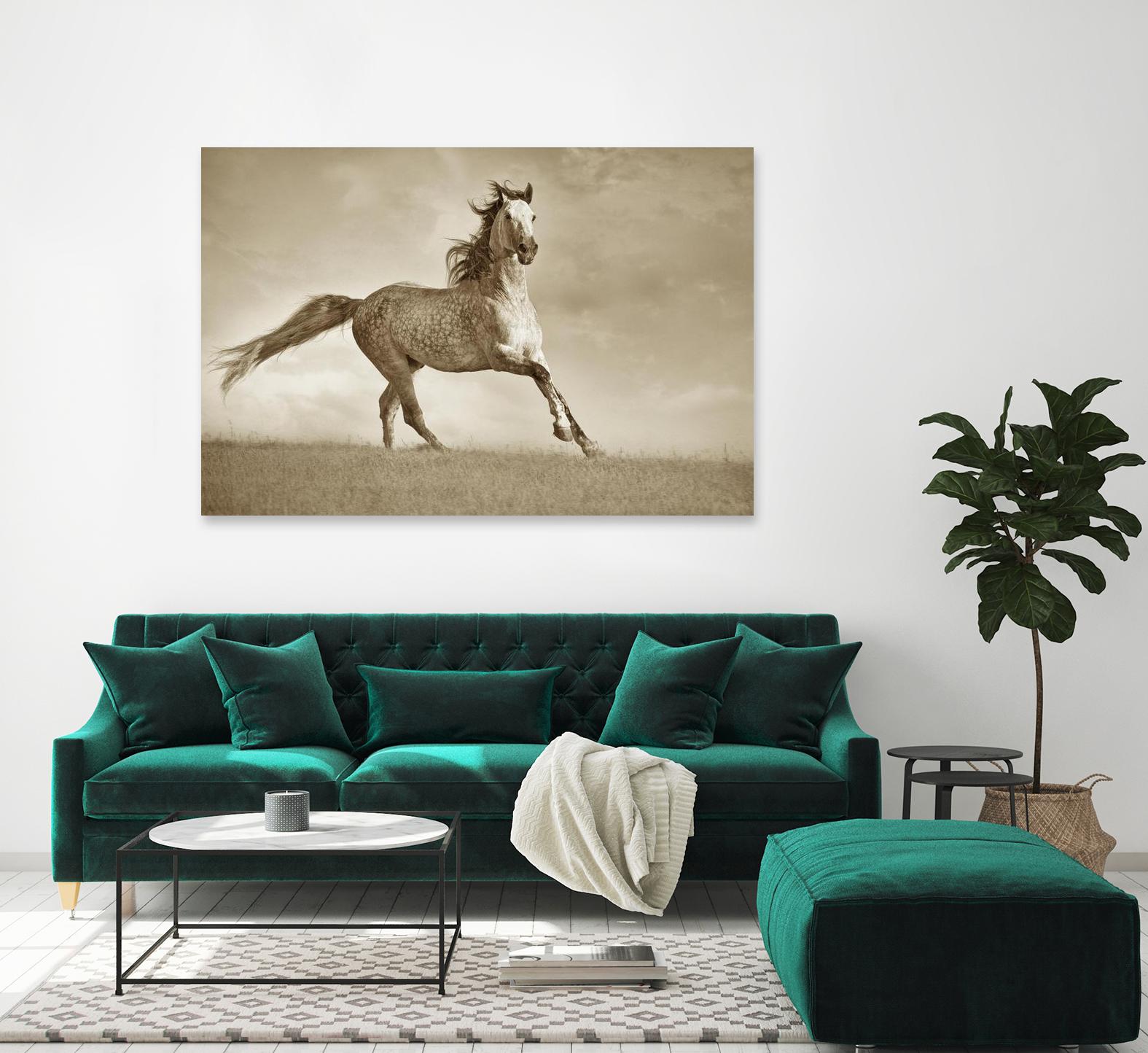 Like the Wind by Lisa Dearing on GIANT ART - multicolor photography; animals